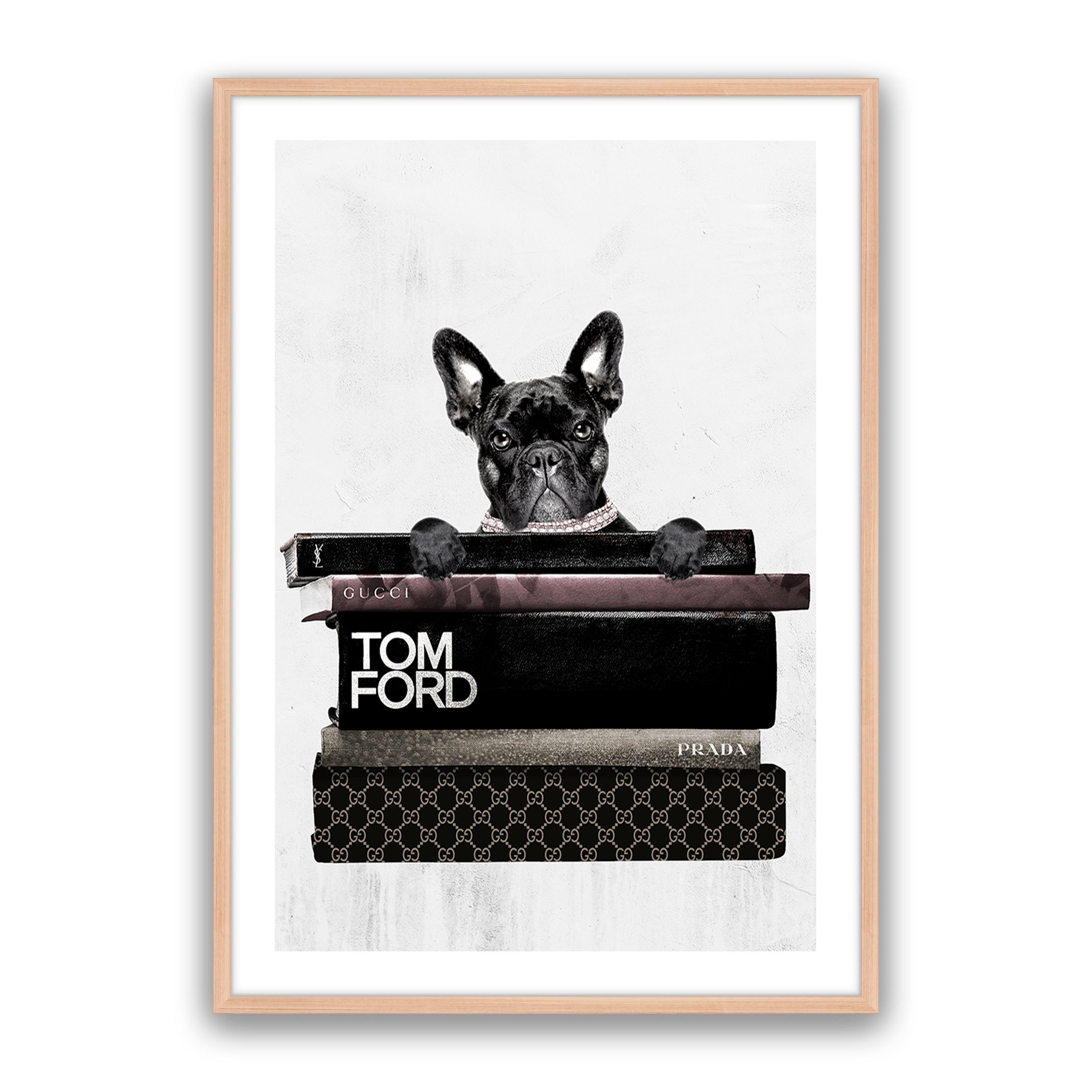 Fashion Paw