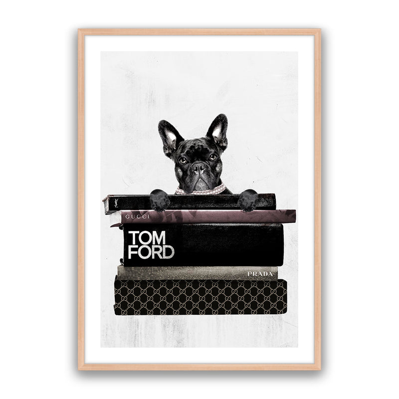Fashion Paw
