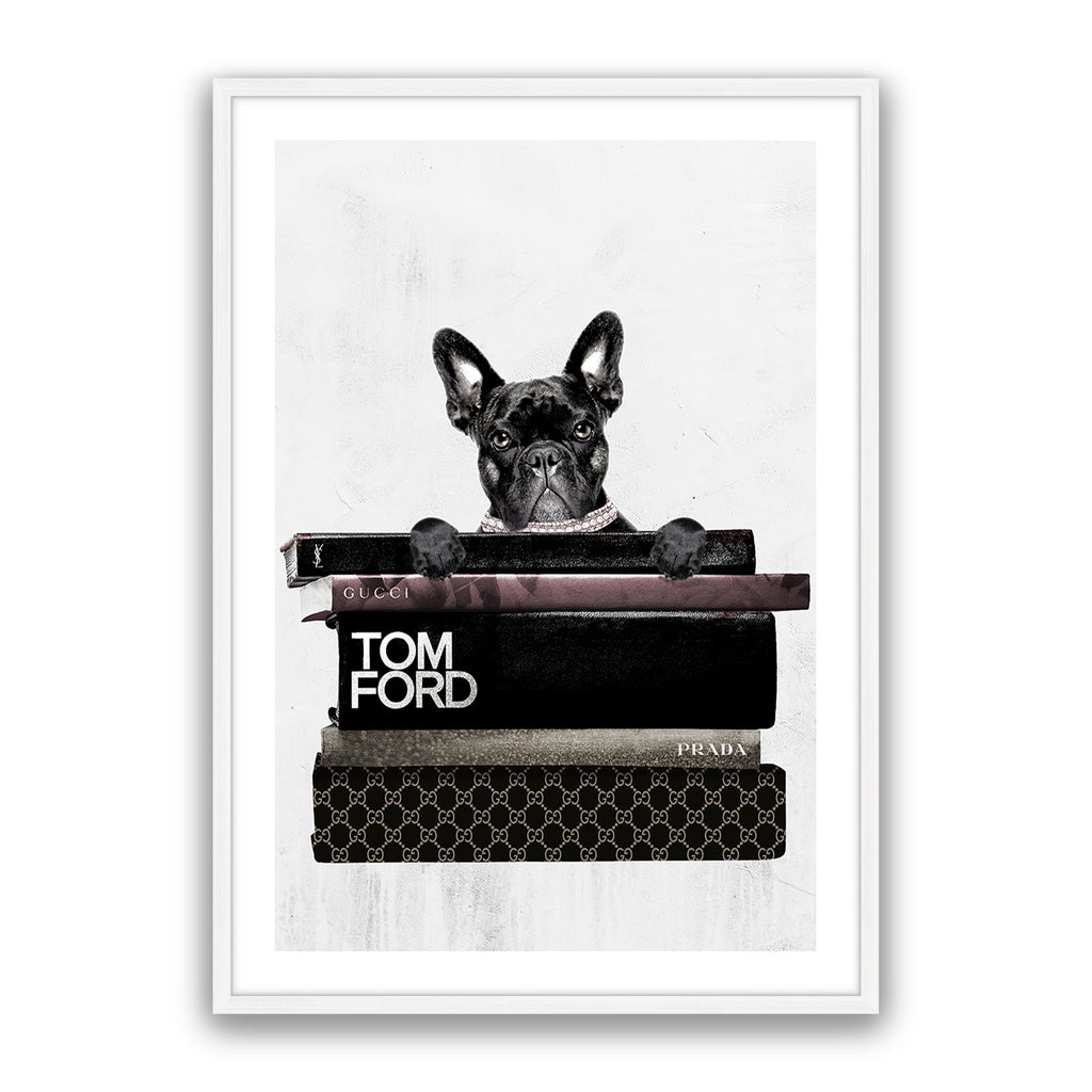 Fashion Paw