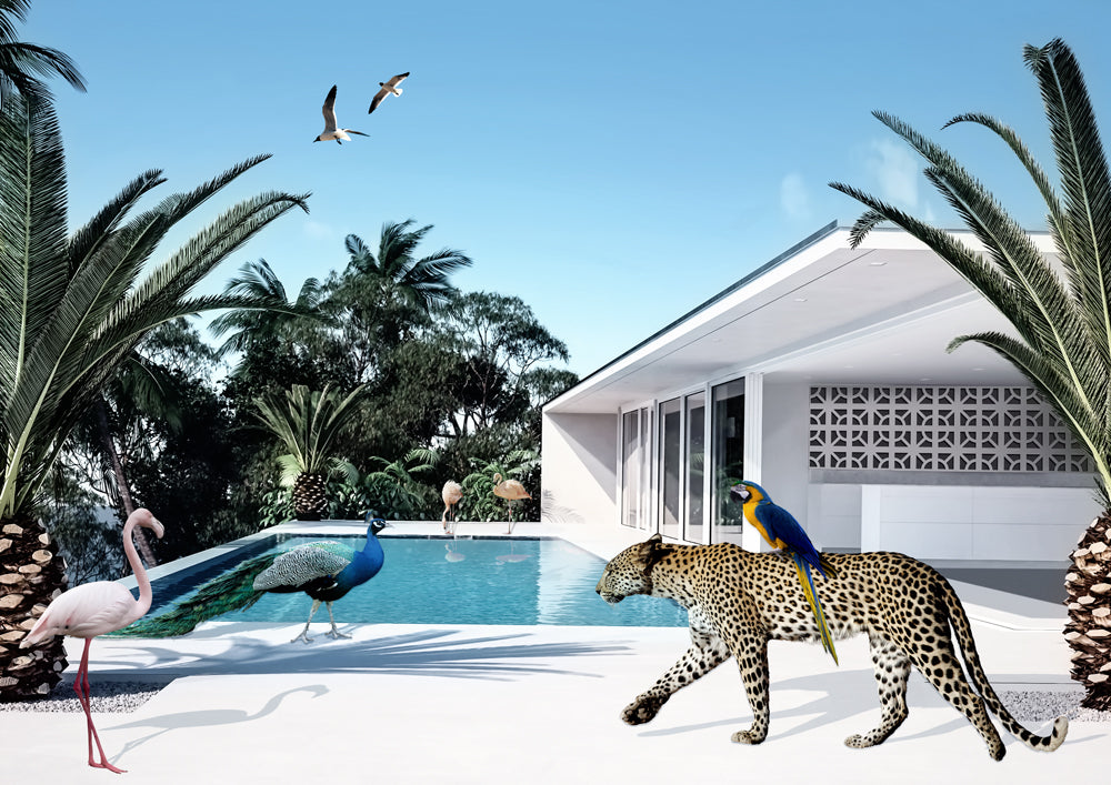 Beach House