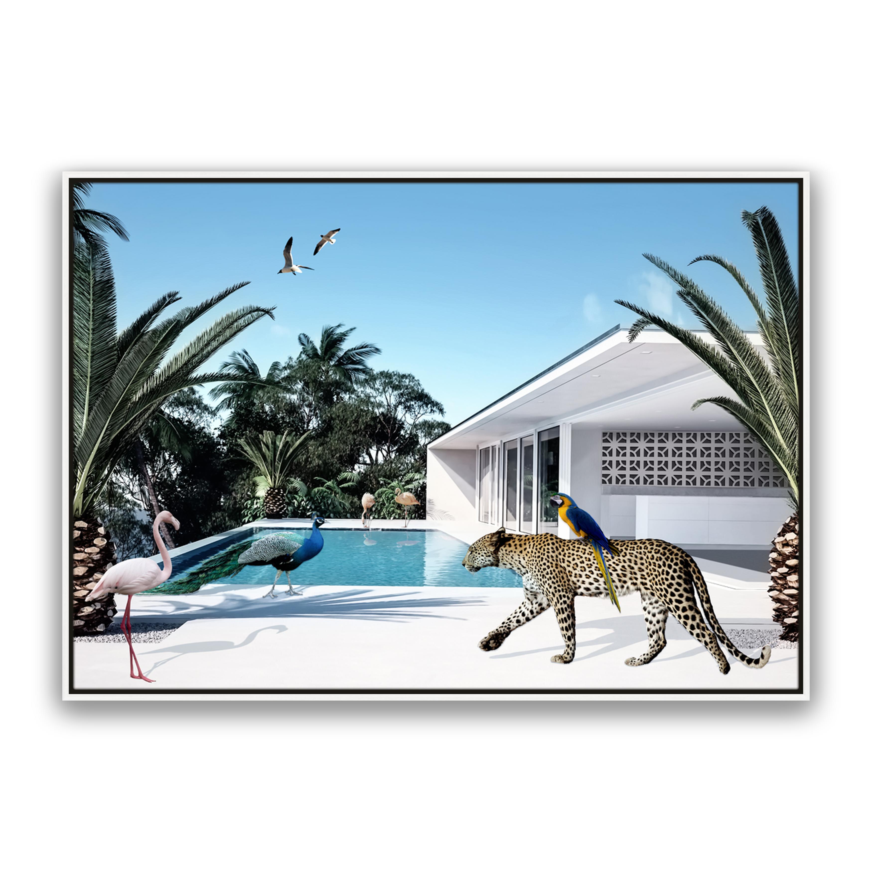Beach House