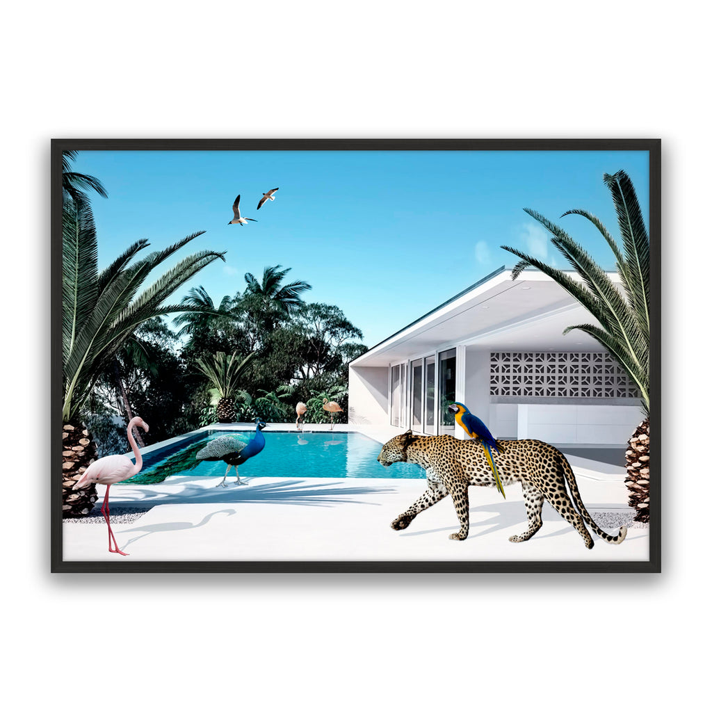 Beach House