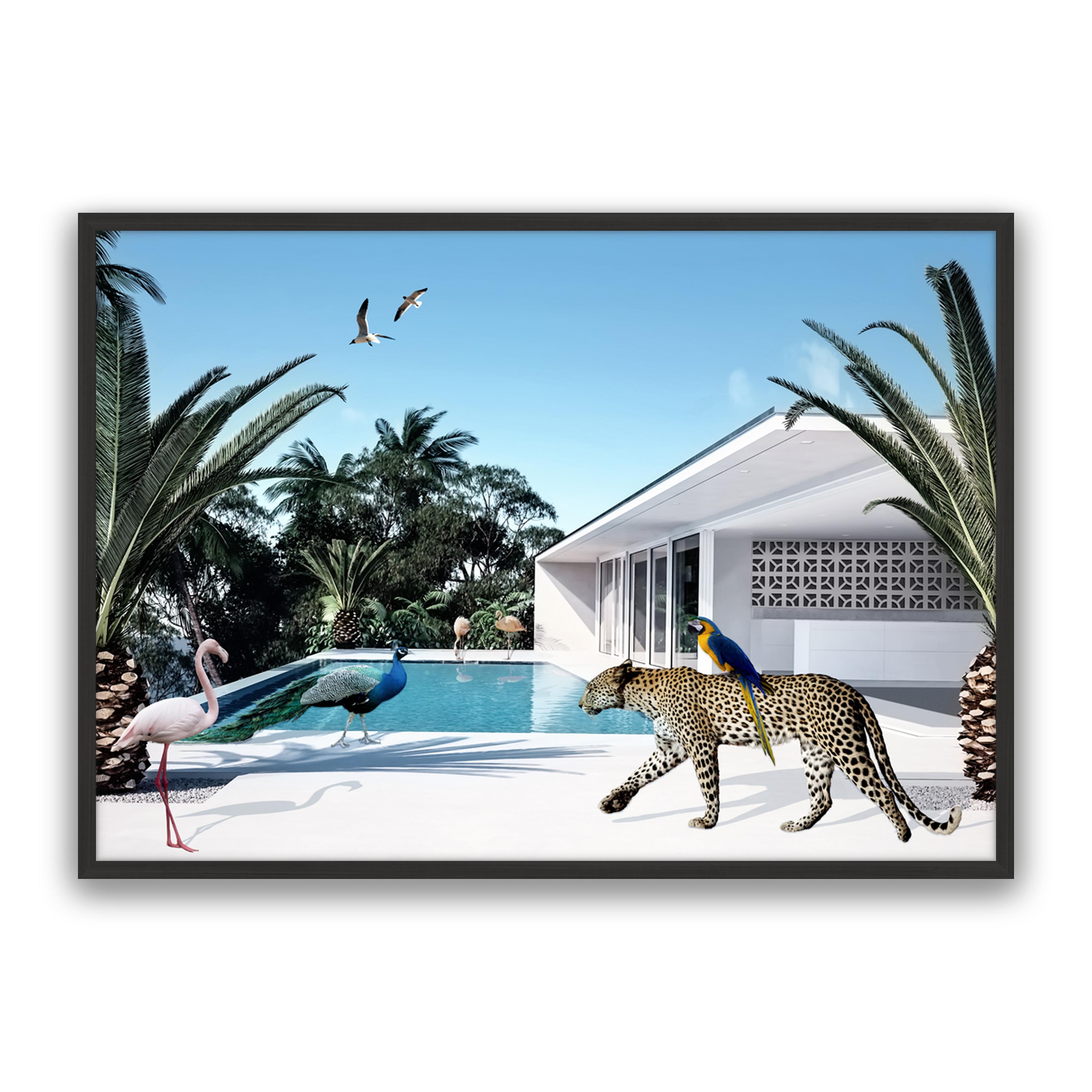 Beach House