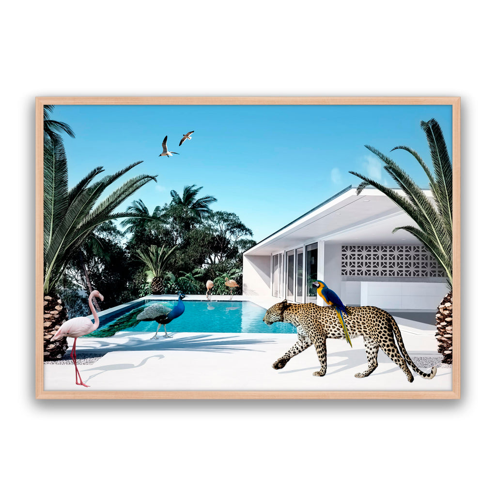 Beach House
