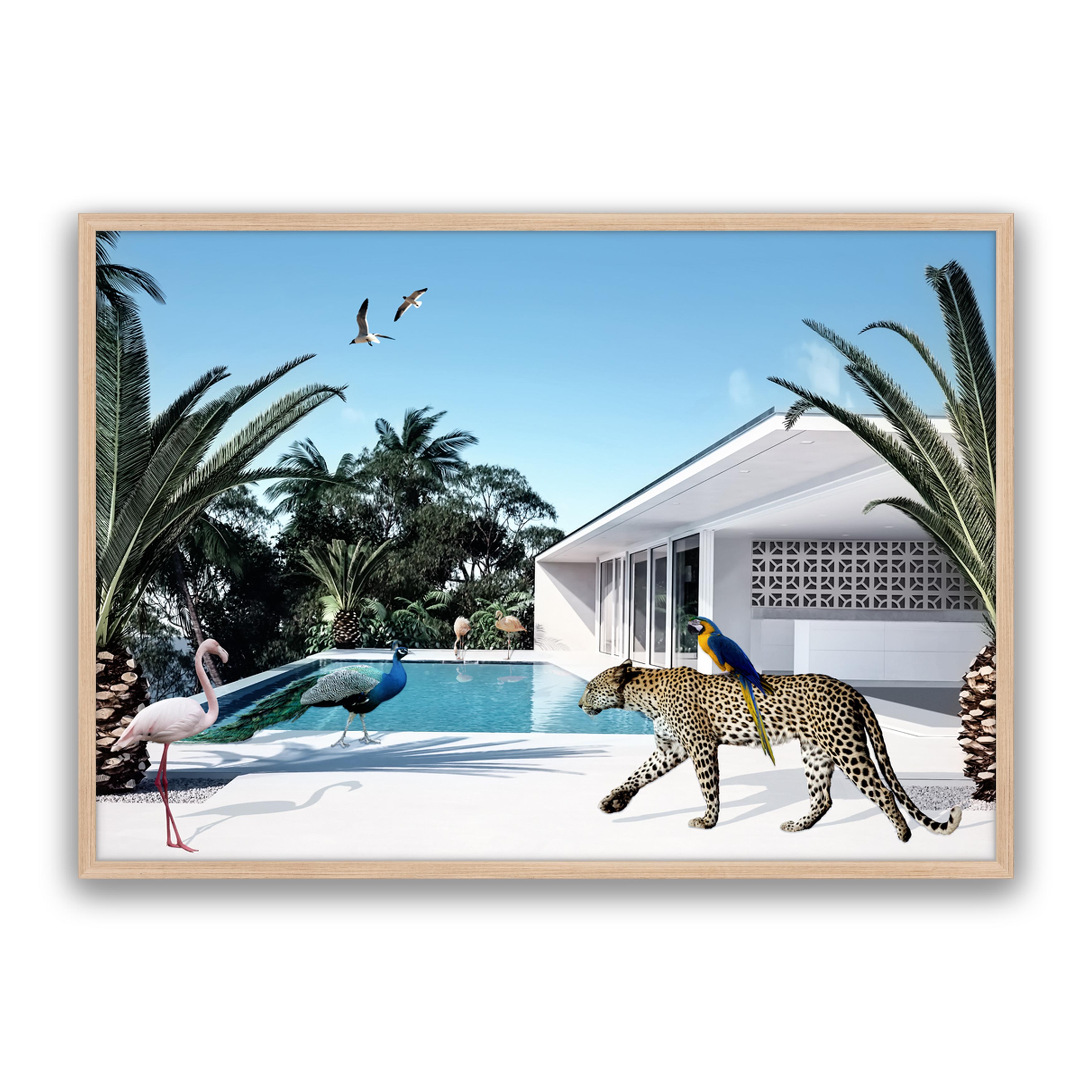 Beach House