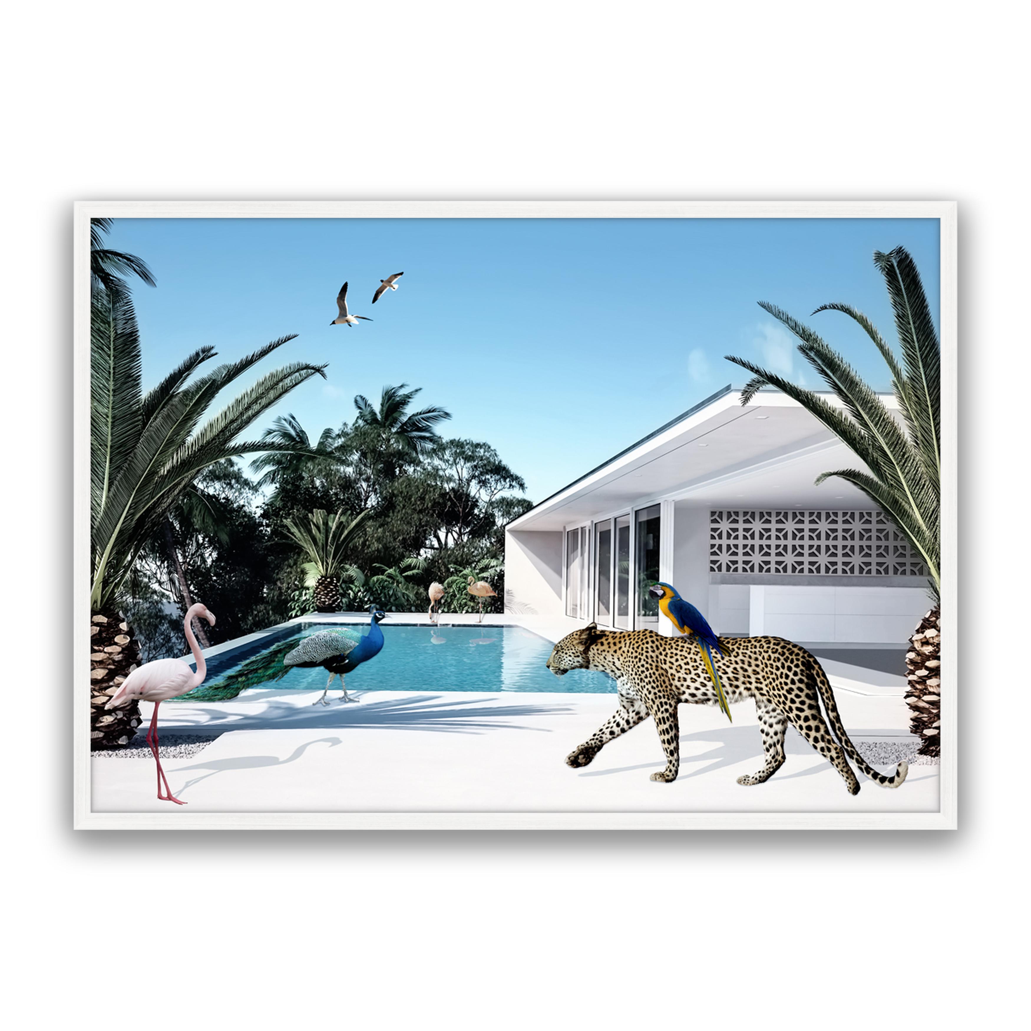 Beach House