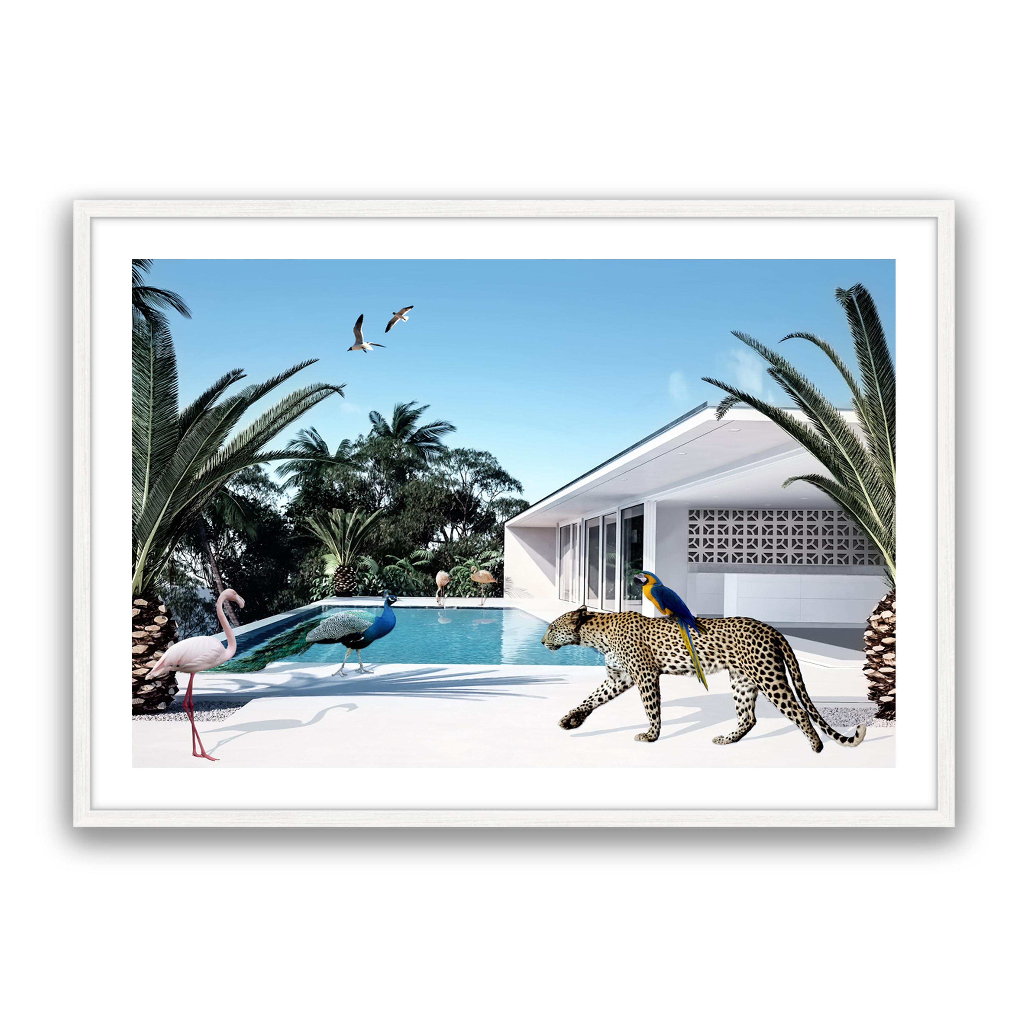 Beach House