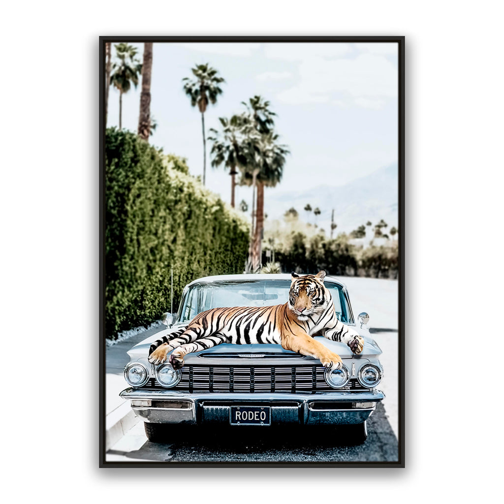 Rodeo Tiger