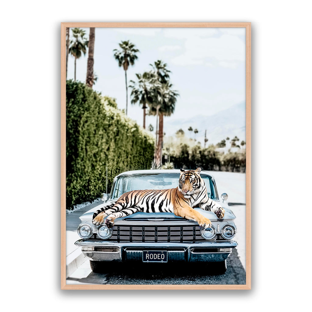 Rodeo Tiger