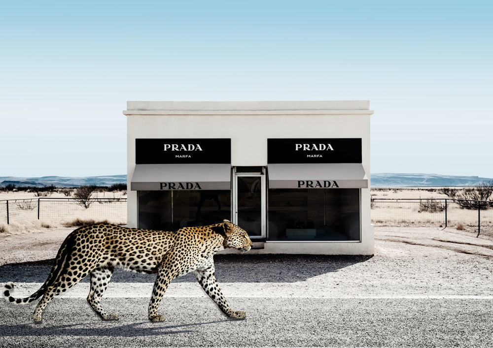Road To Marfa
