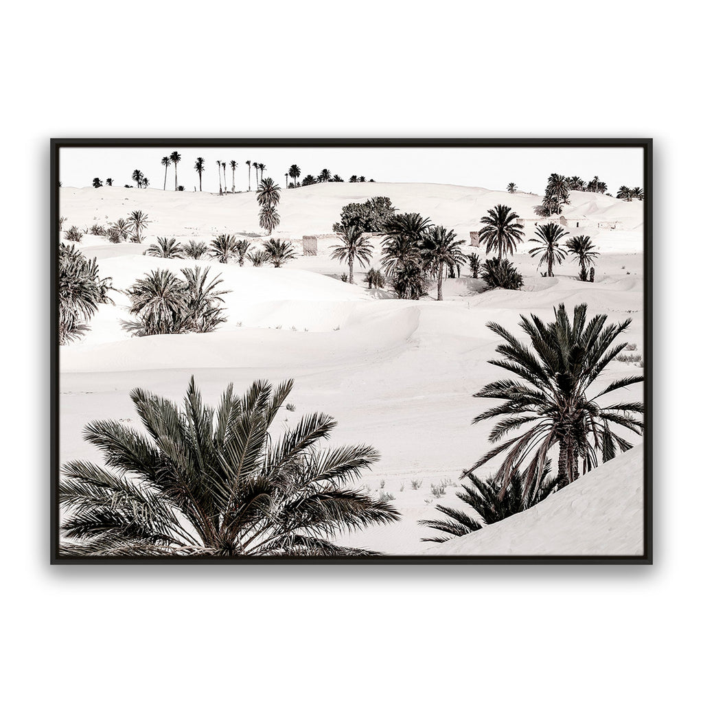 Desert Dream