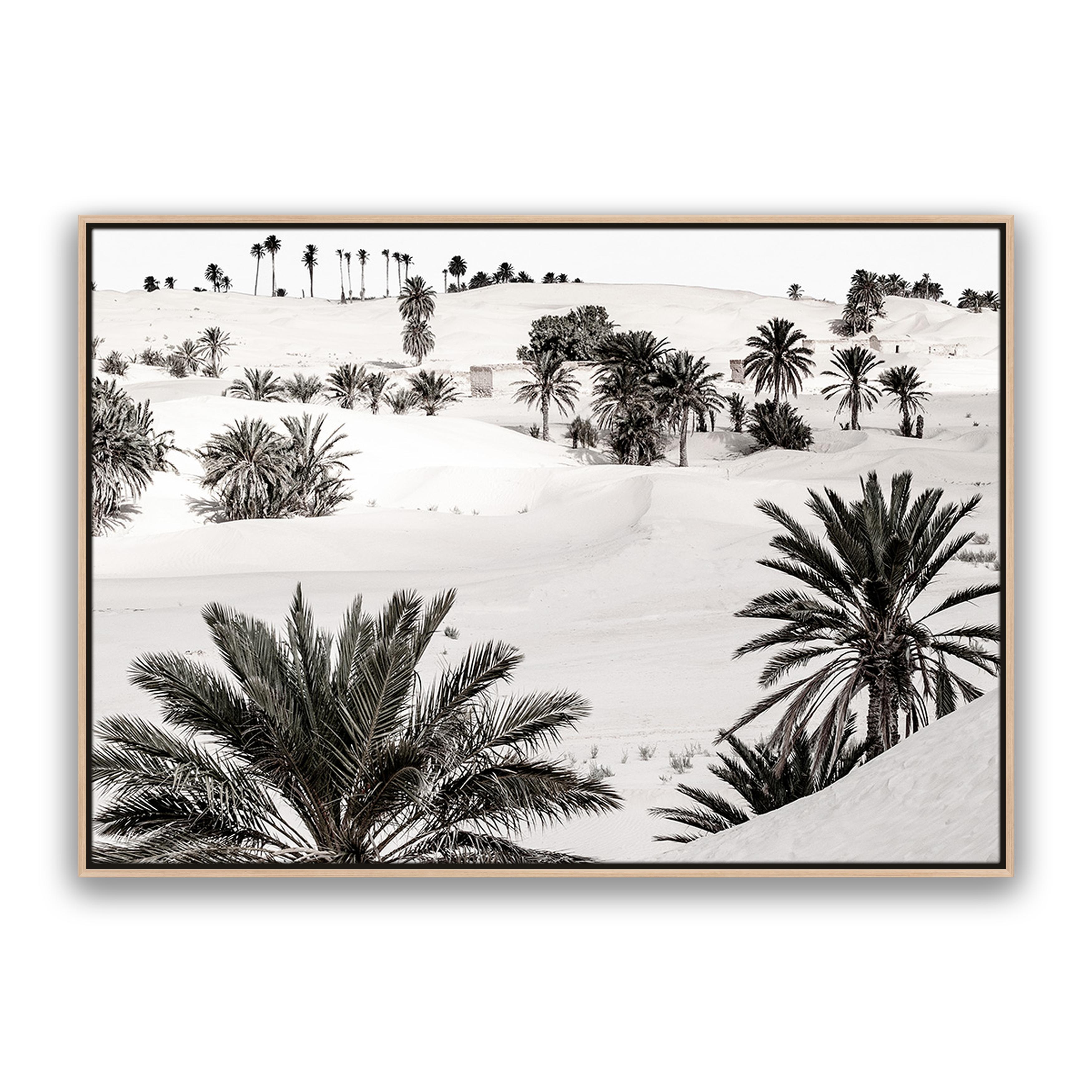 Desert Dream