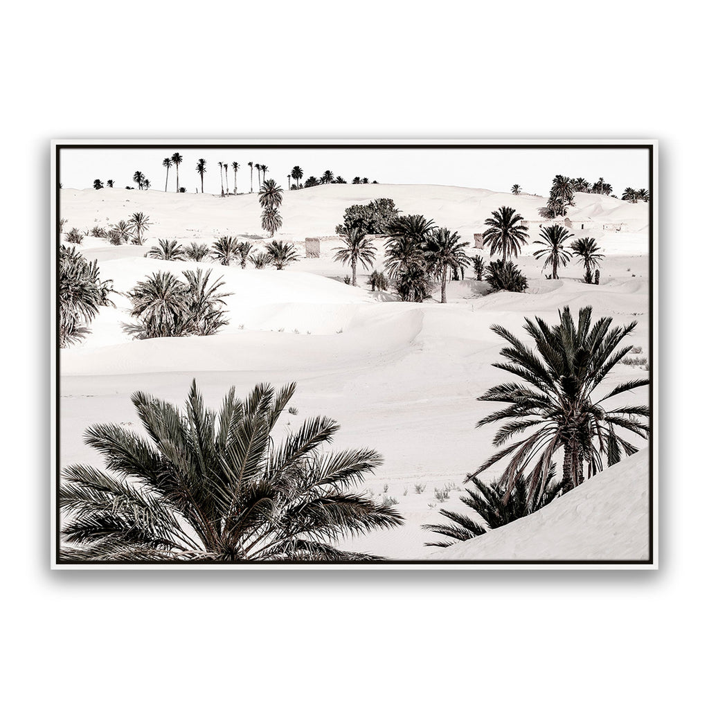 Desert Dream