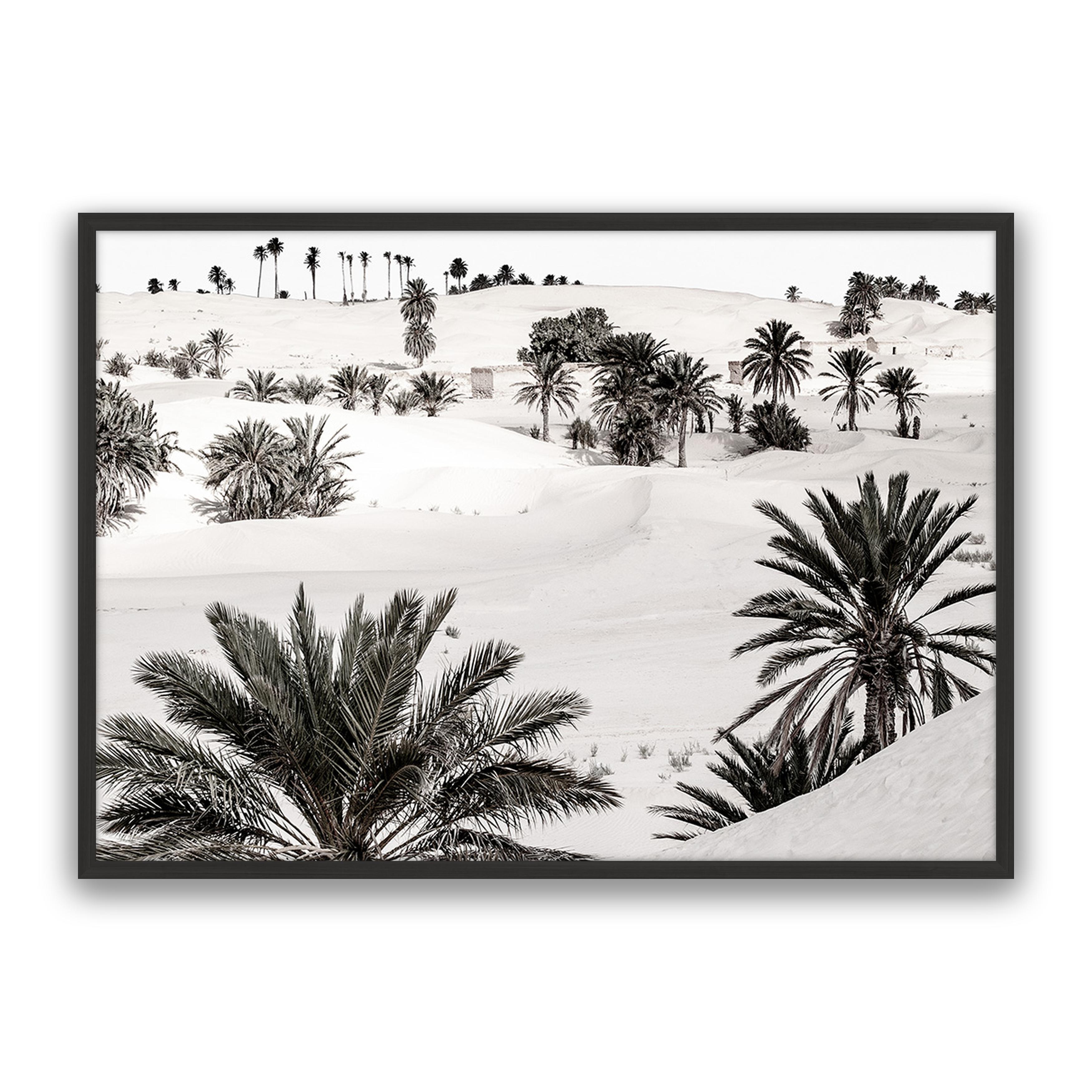 Desert Dream