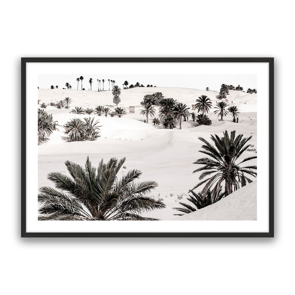 Desert Dream