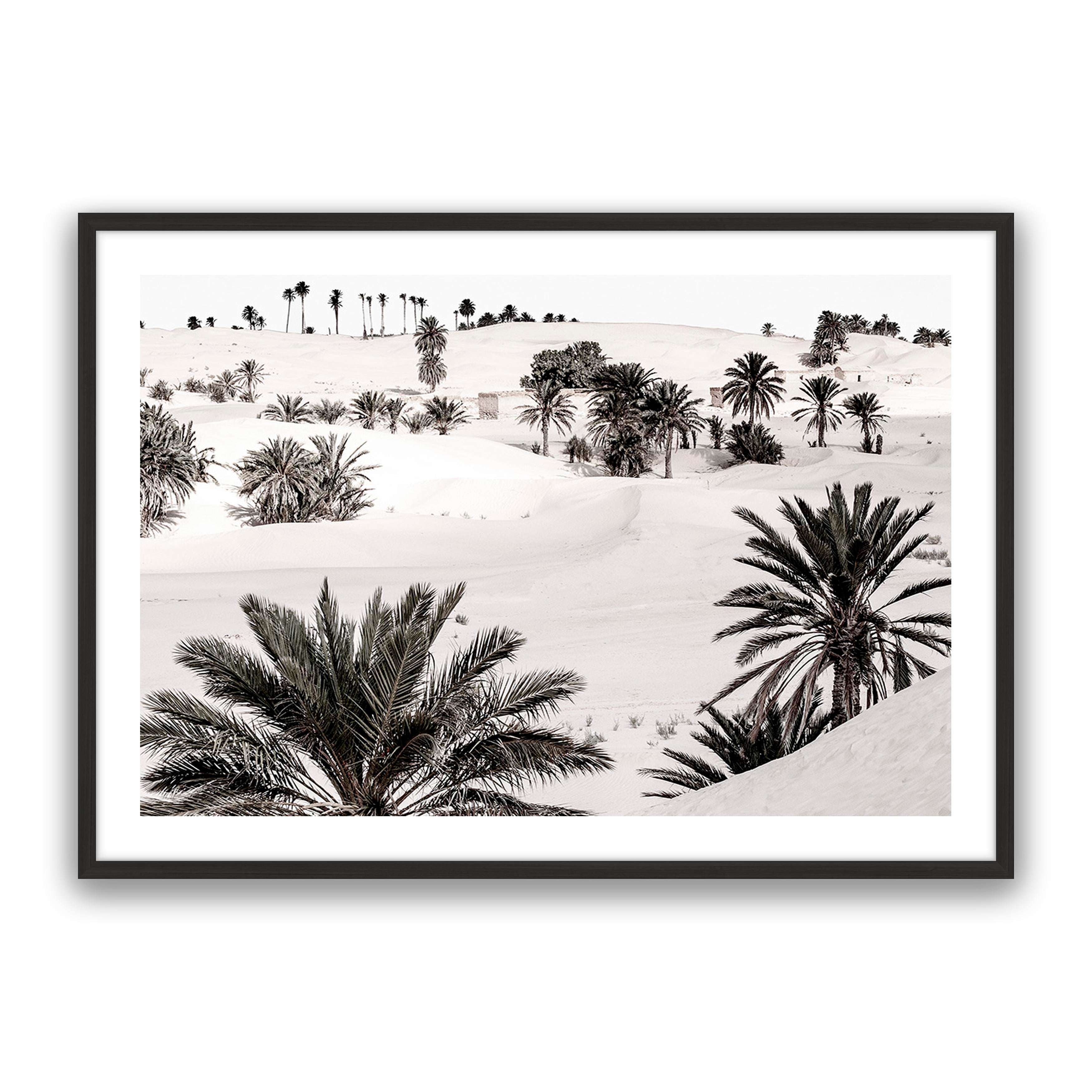 Desert Dream