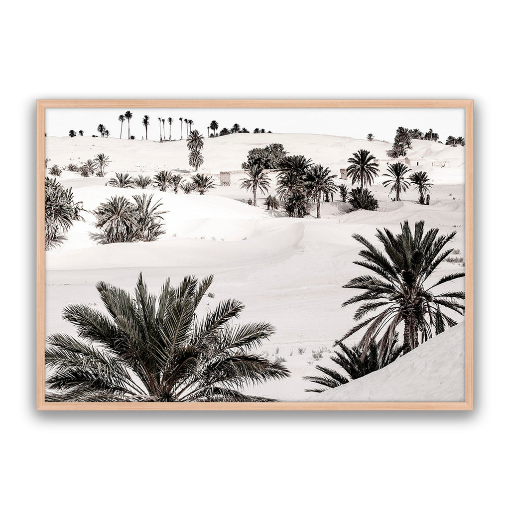 Desert Dream