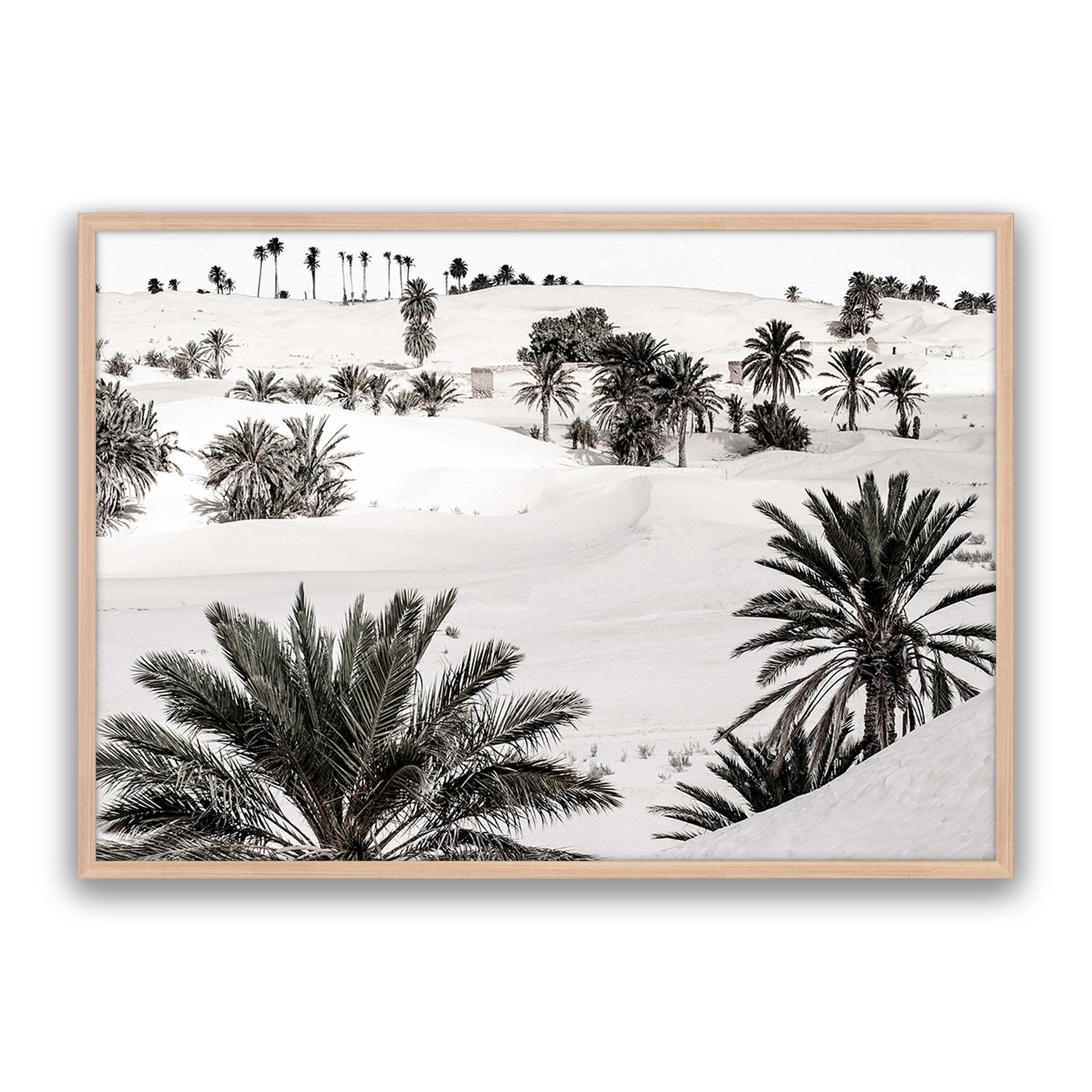 Desert Dream