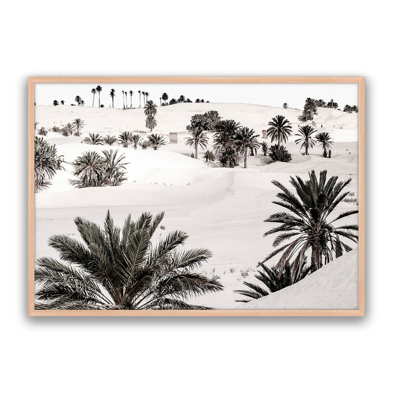 Desert Dream