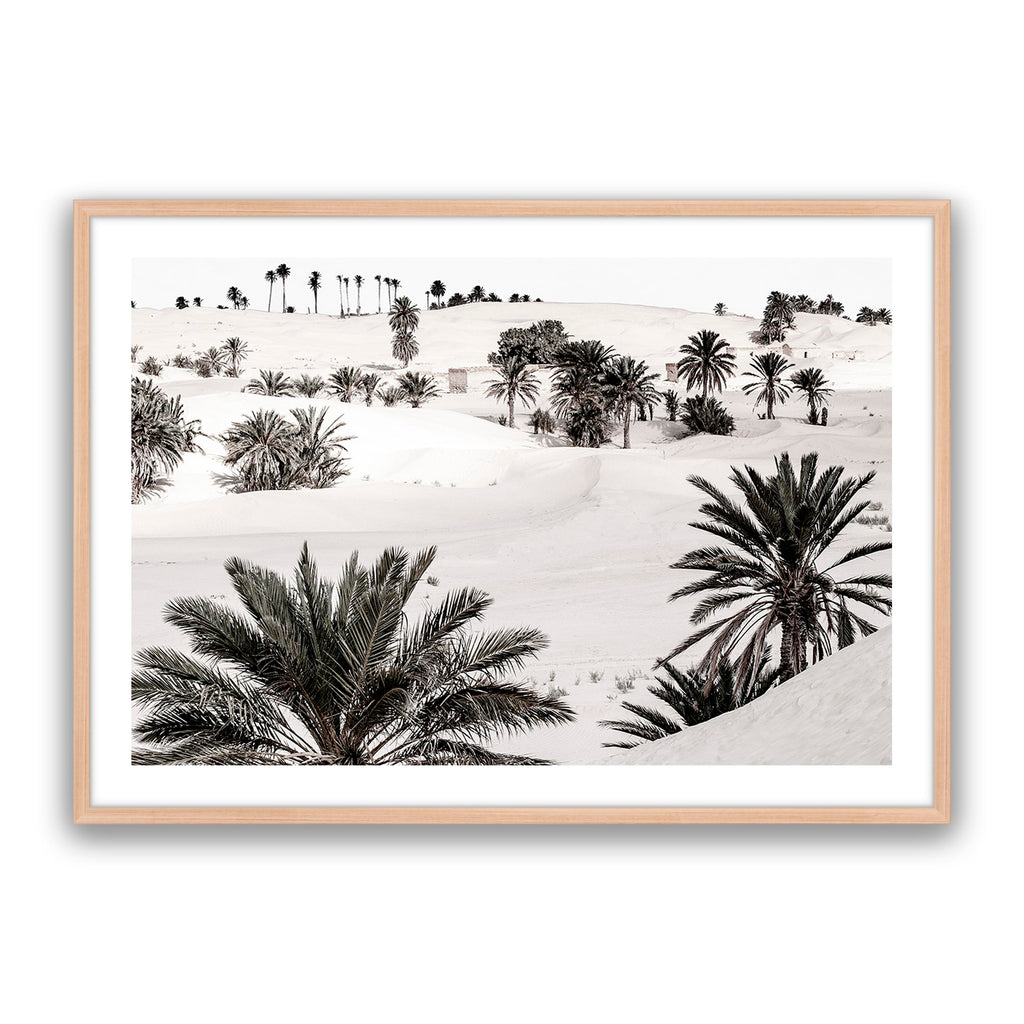 Desert Dream