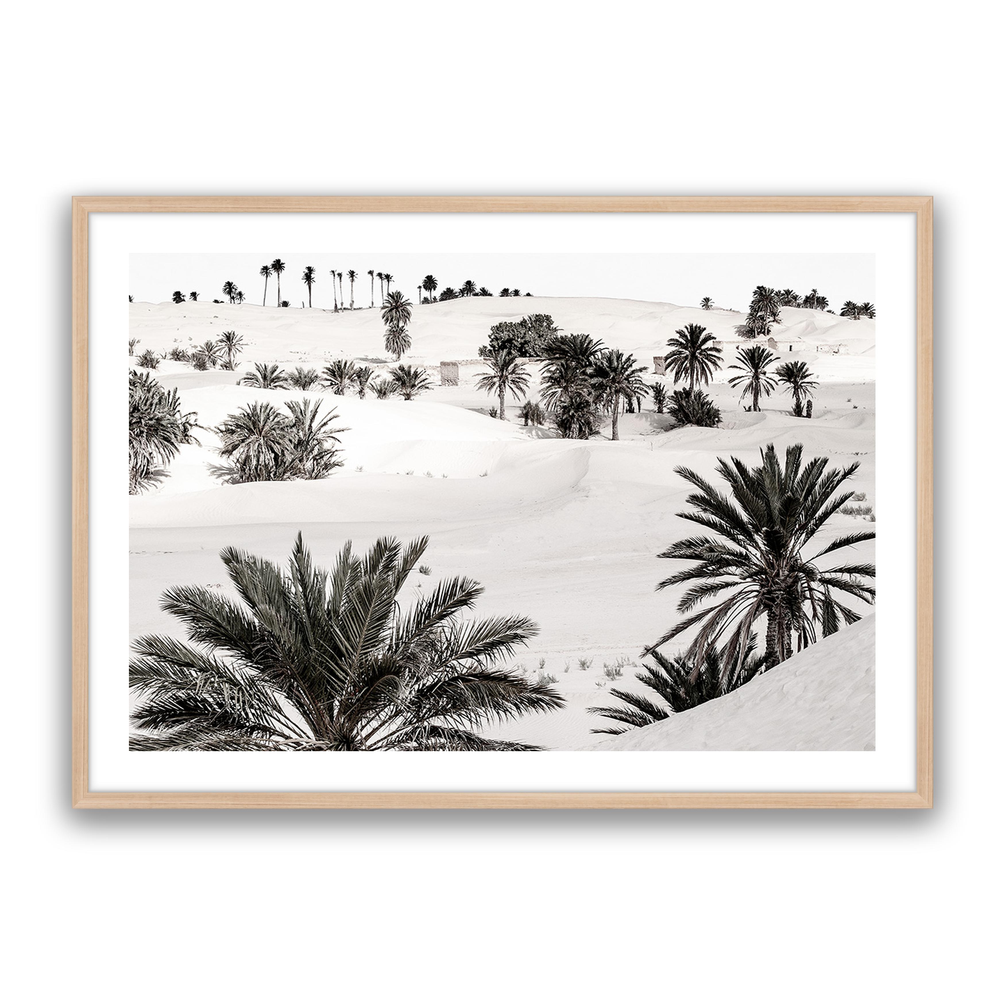 Desert Dream