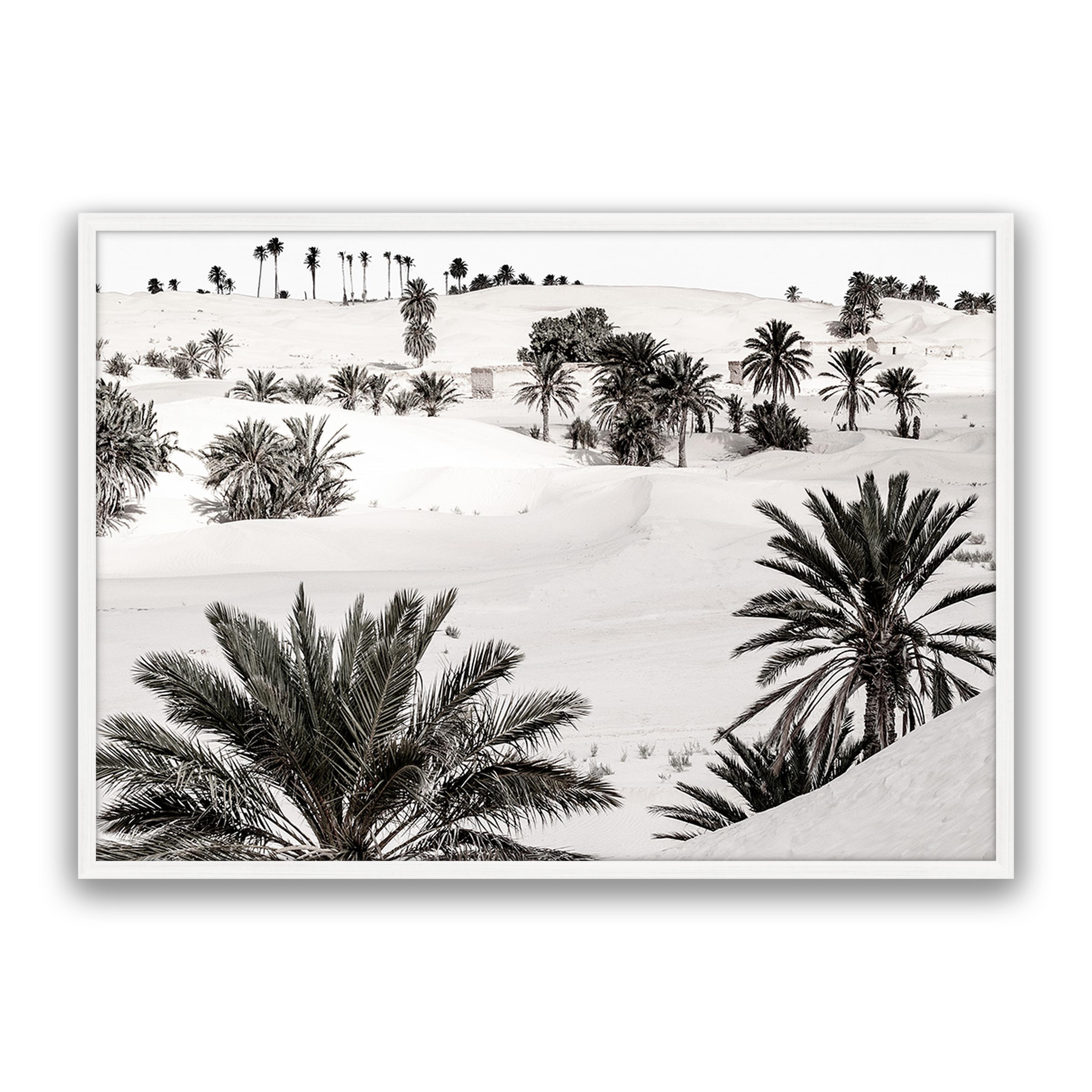 Desert Dream
