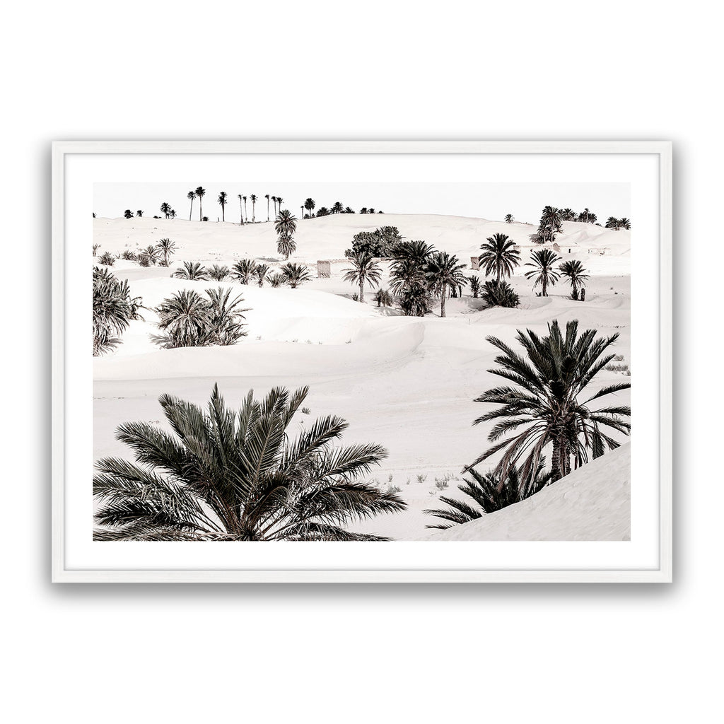 Desert Dream