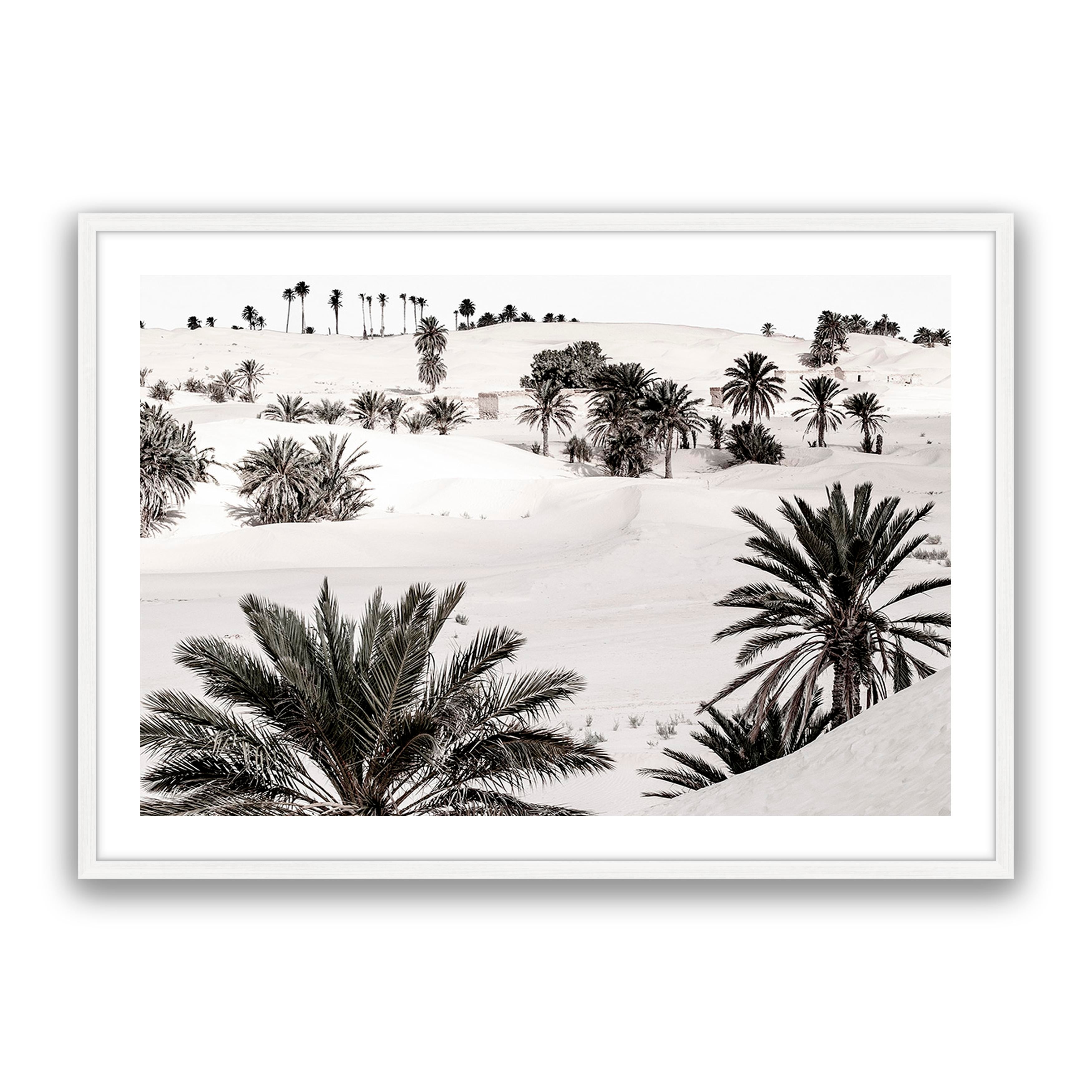 Desert Dream