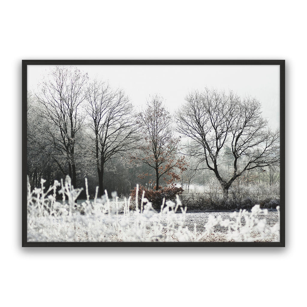 Autumn Still