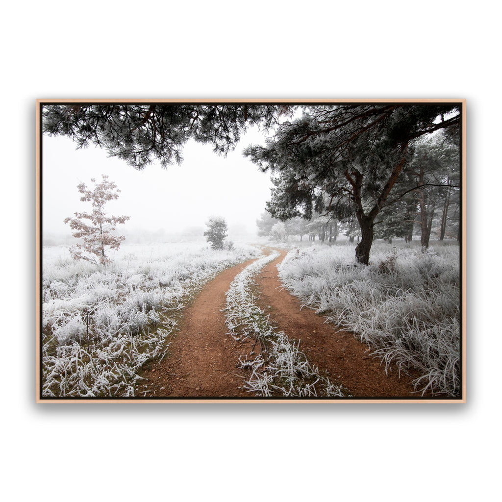 Snow Trail