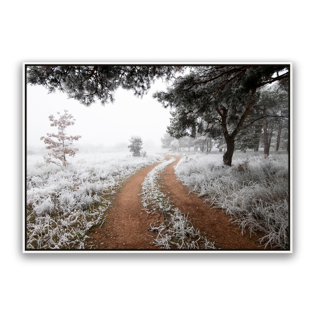 Snow Trail