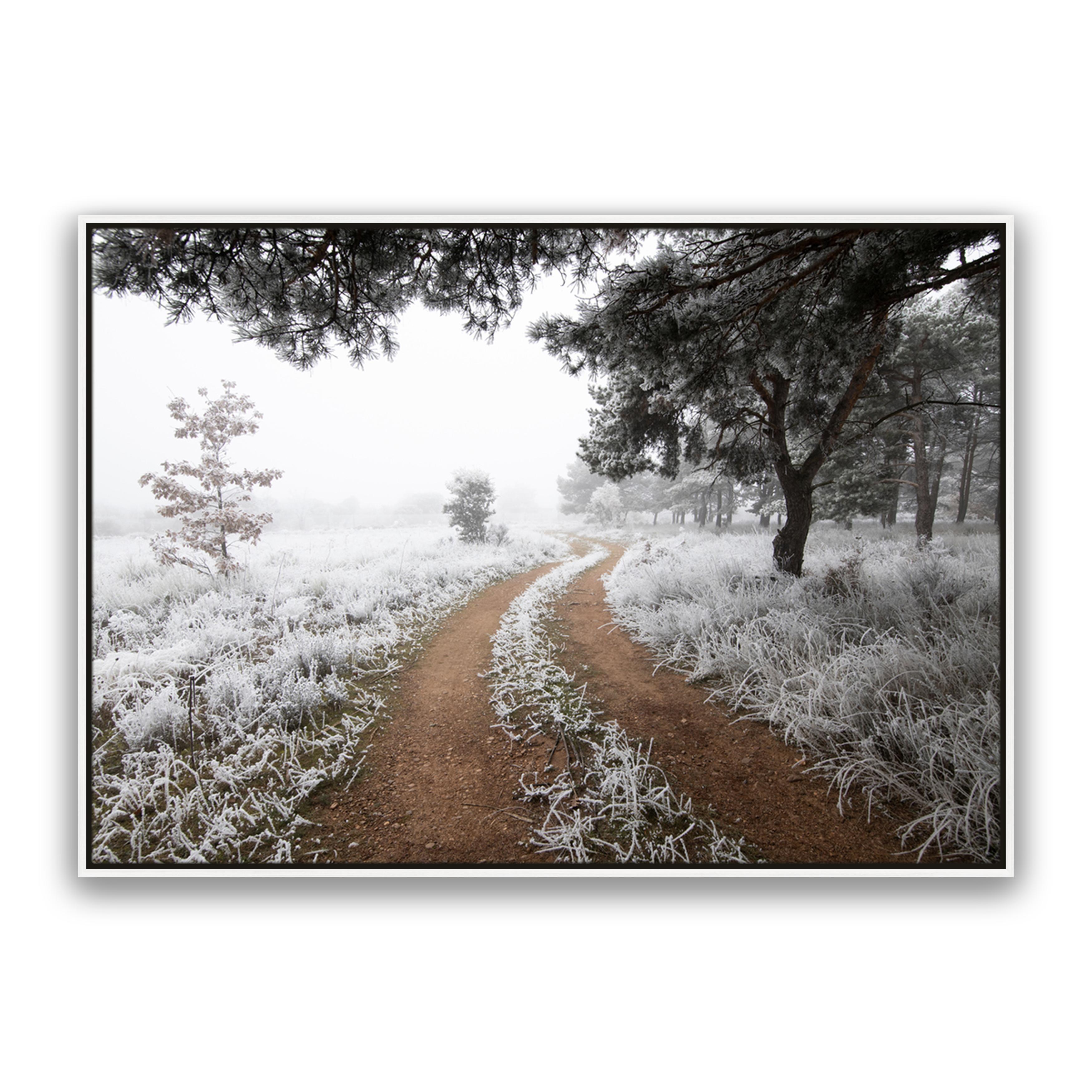 Snow Trail