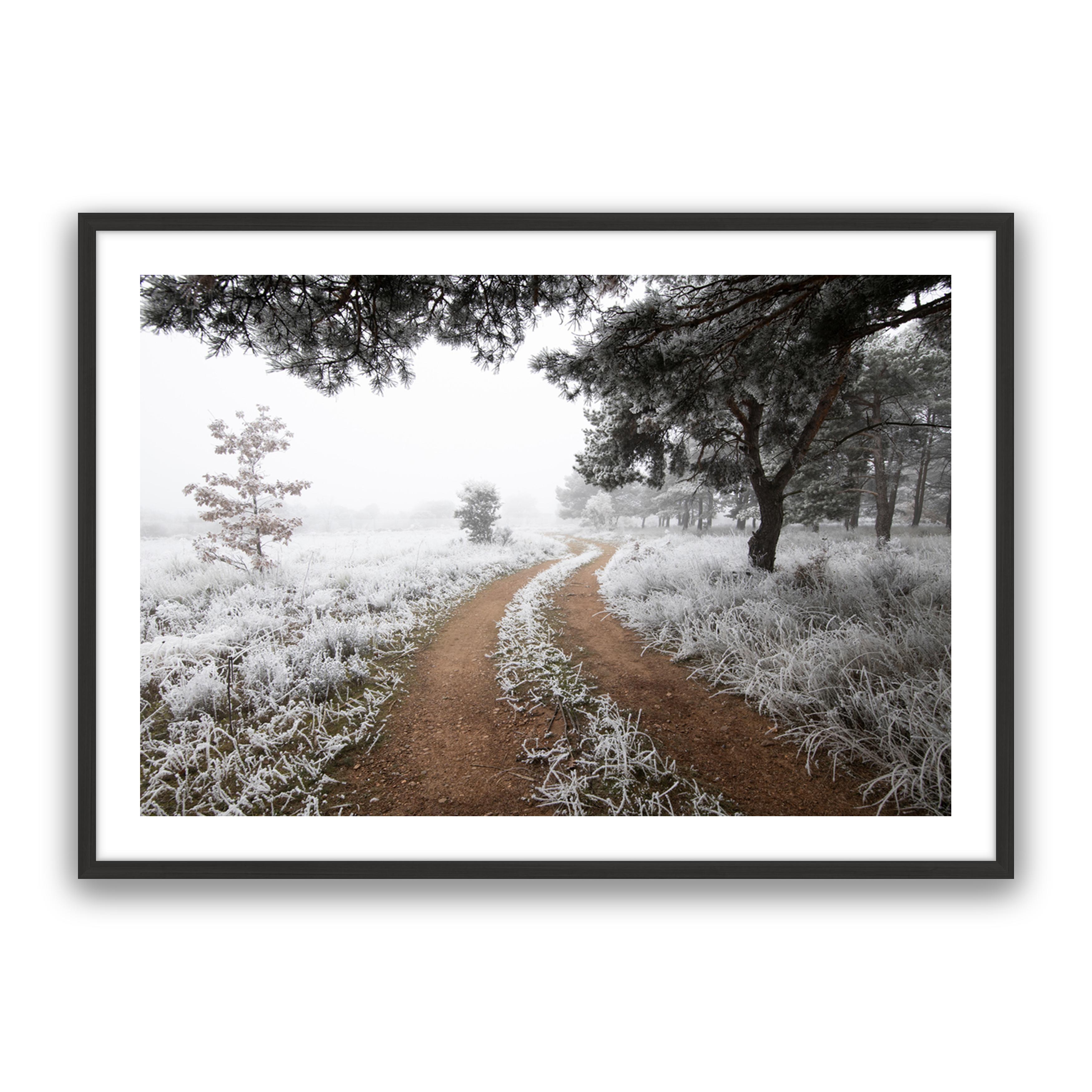 Snow Trail