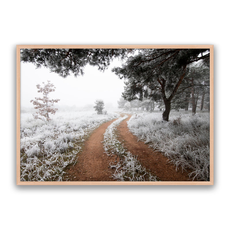 Snow Trail