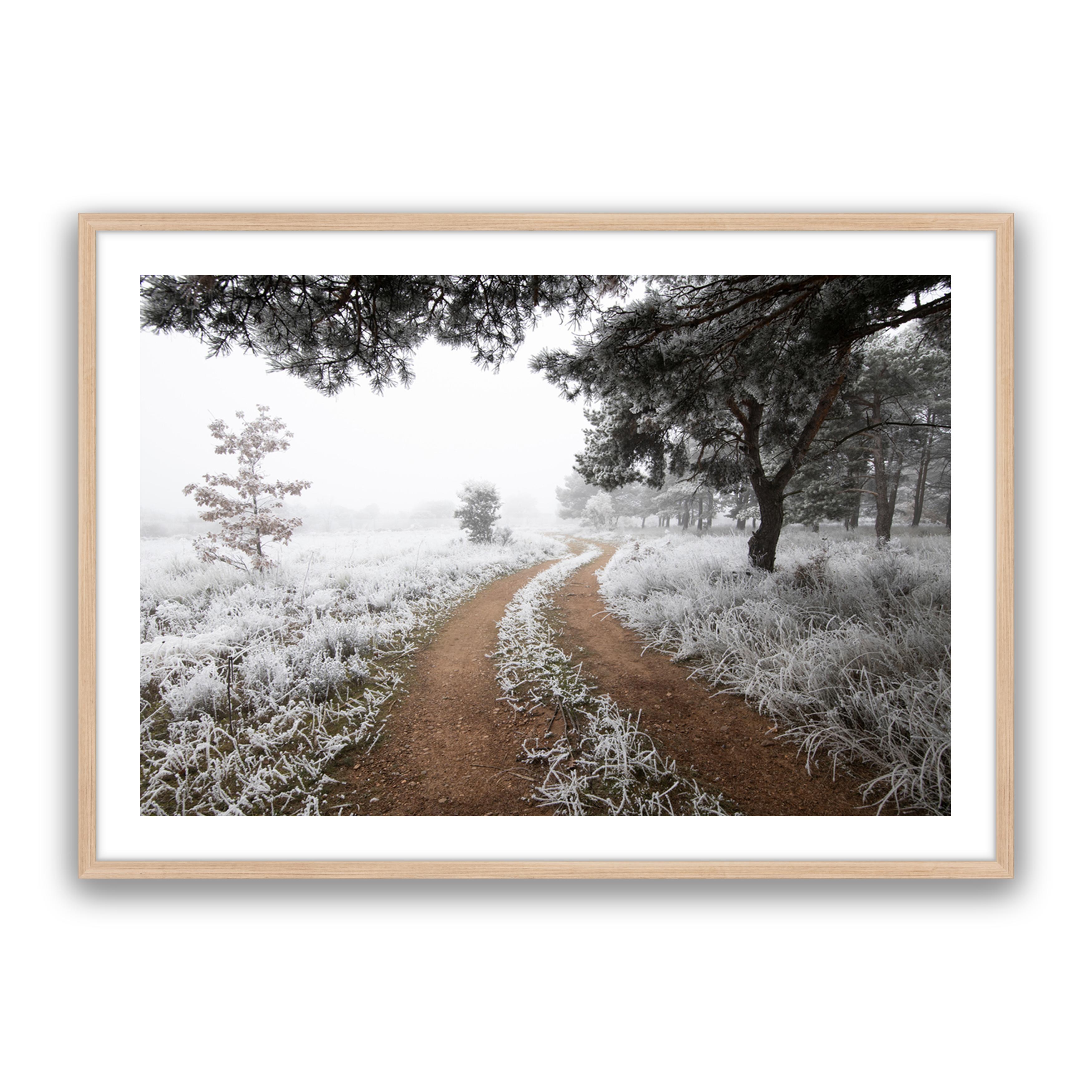 Snow Trail