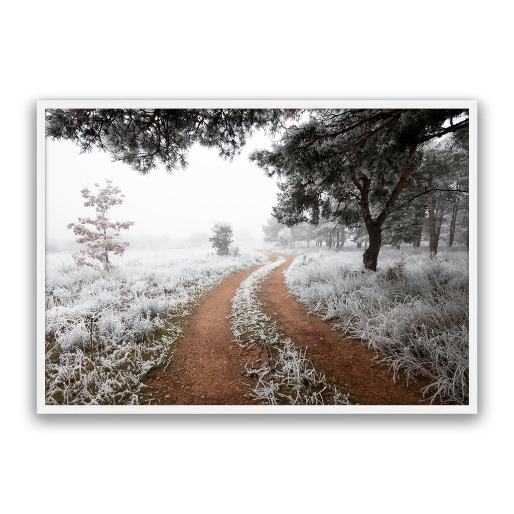 Snow Trail