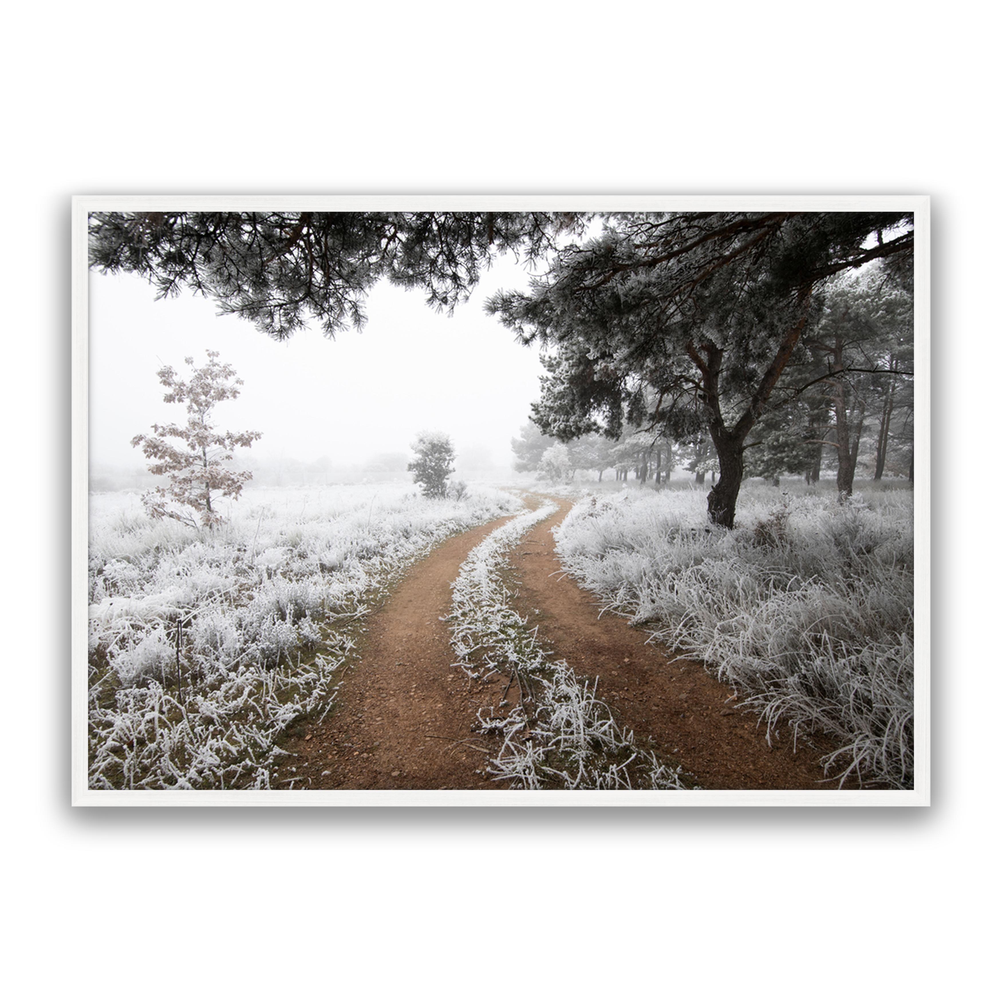 Snow Trail