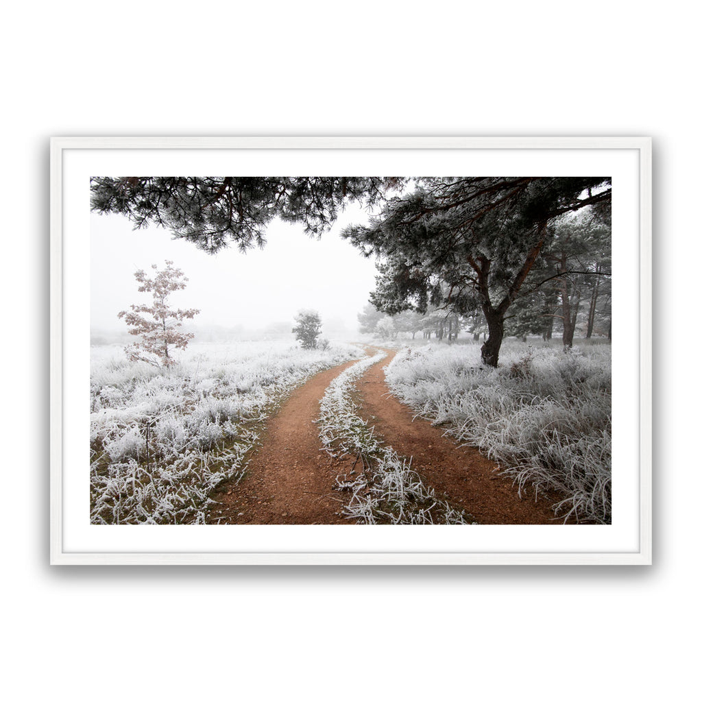 Snow Trail