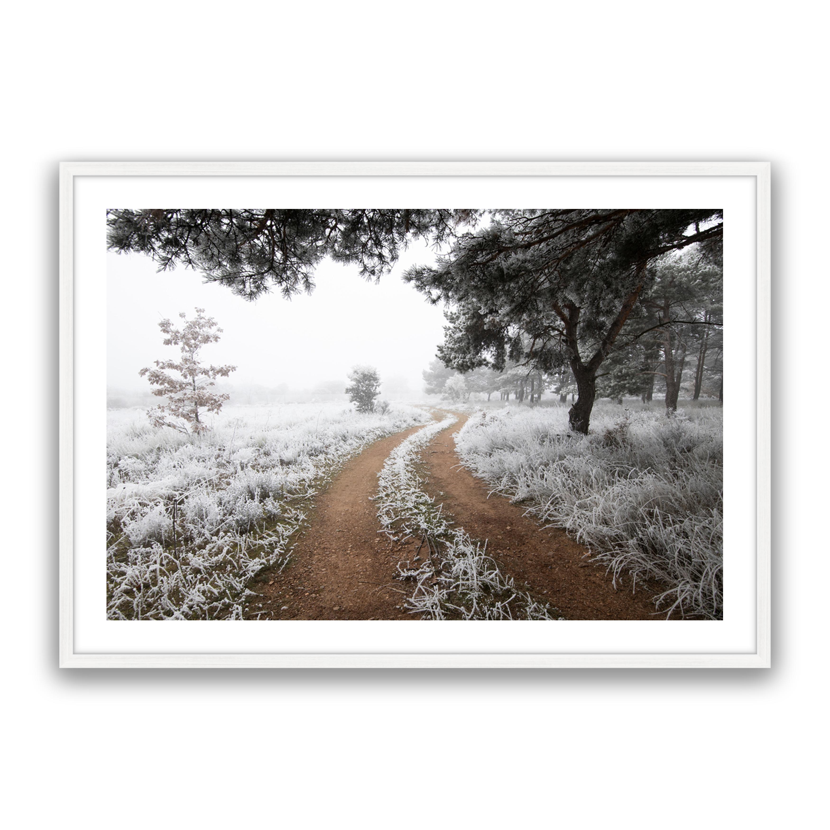 Snow Trail