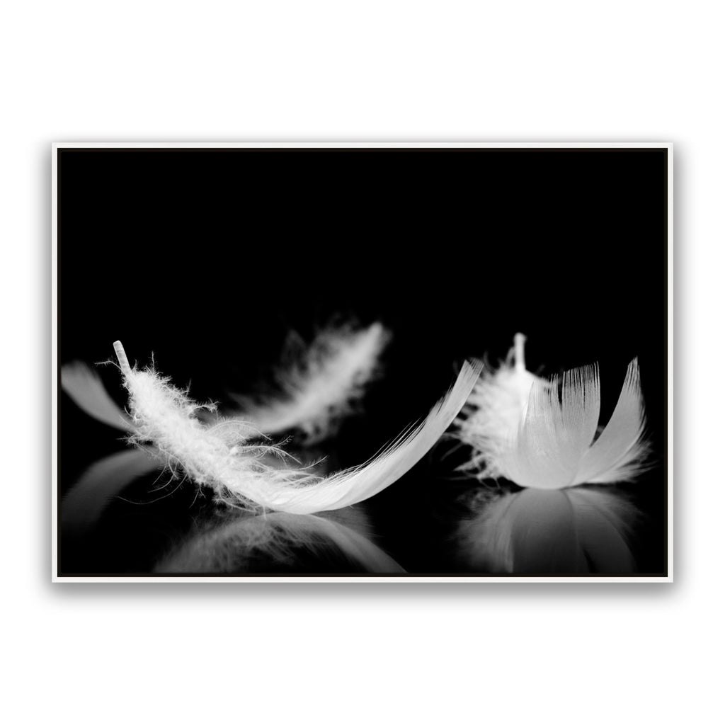 Dream Feather