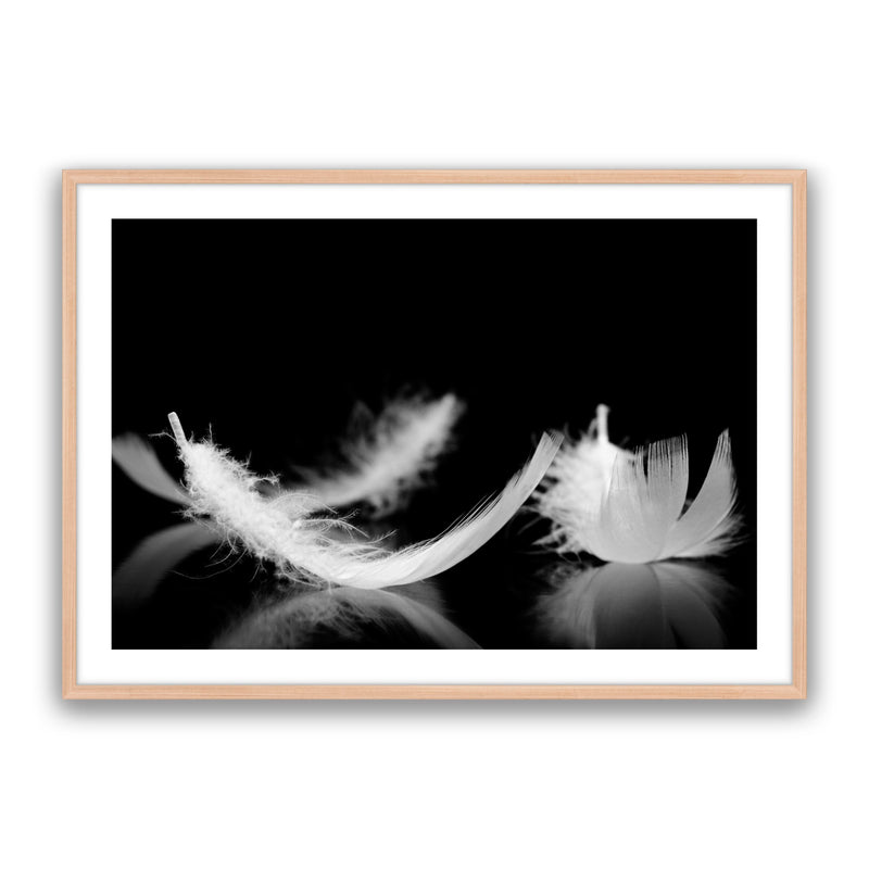 Dream Feather