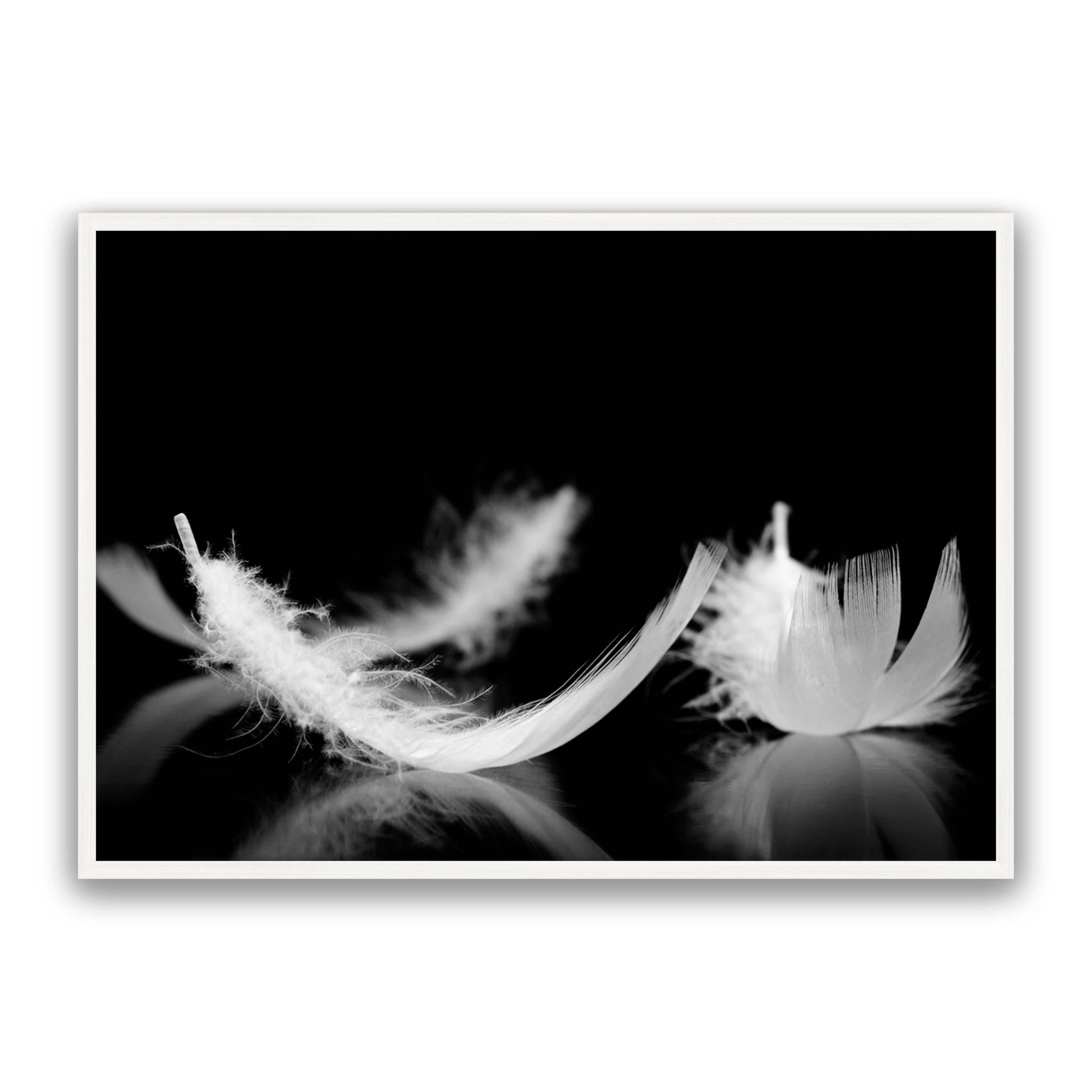 Dream Feather