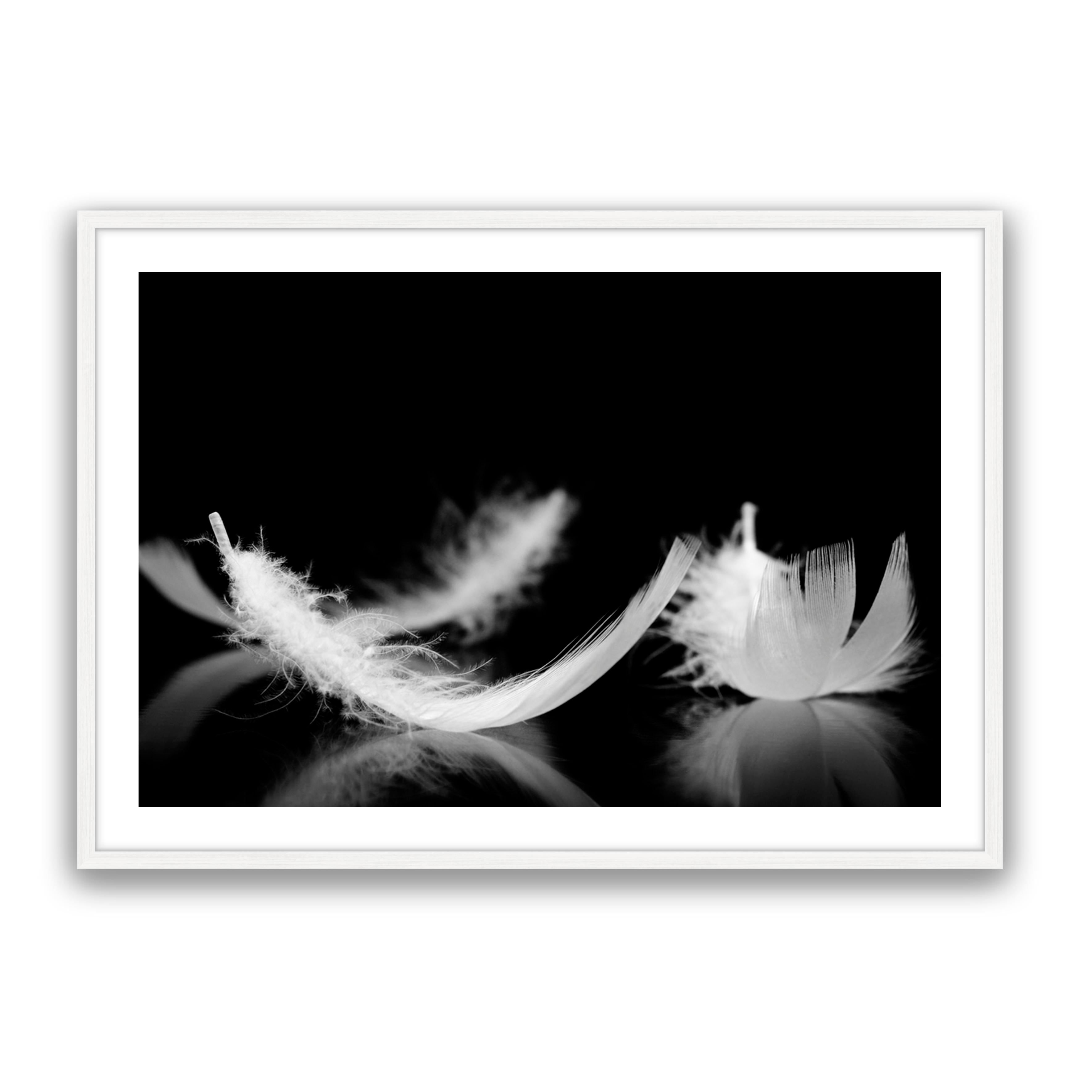 Dream Feather