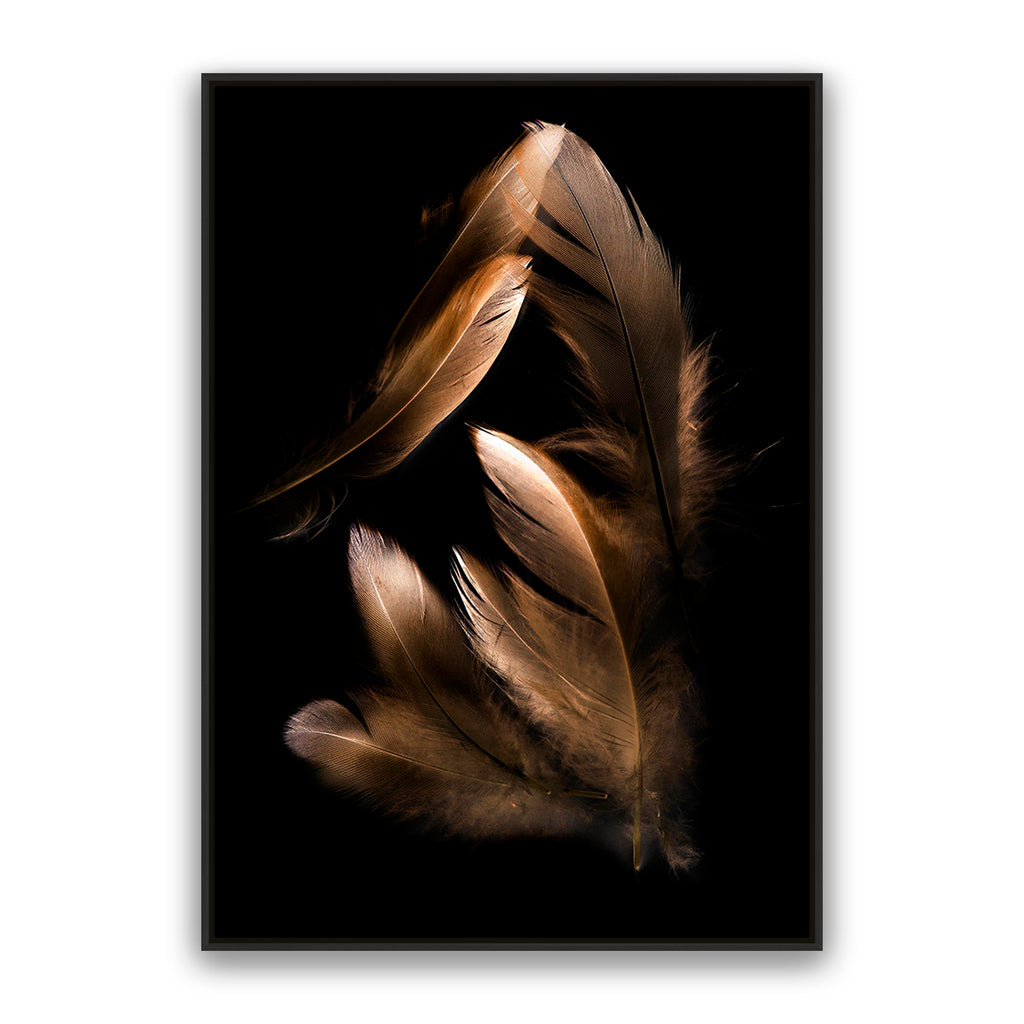 Bronze Feather