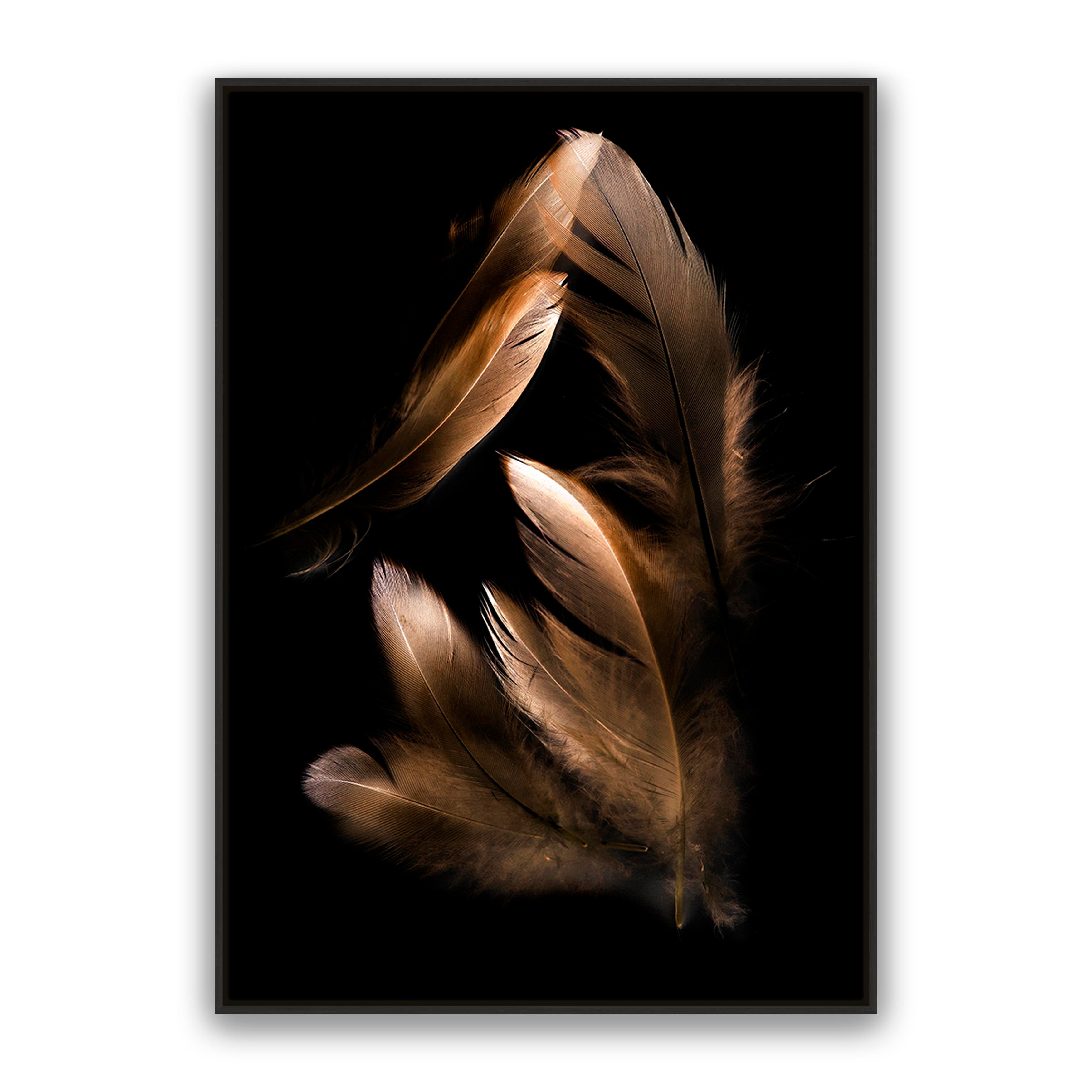 Bronze Feather
