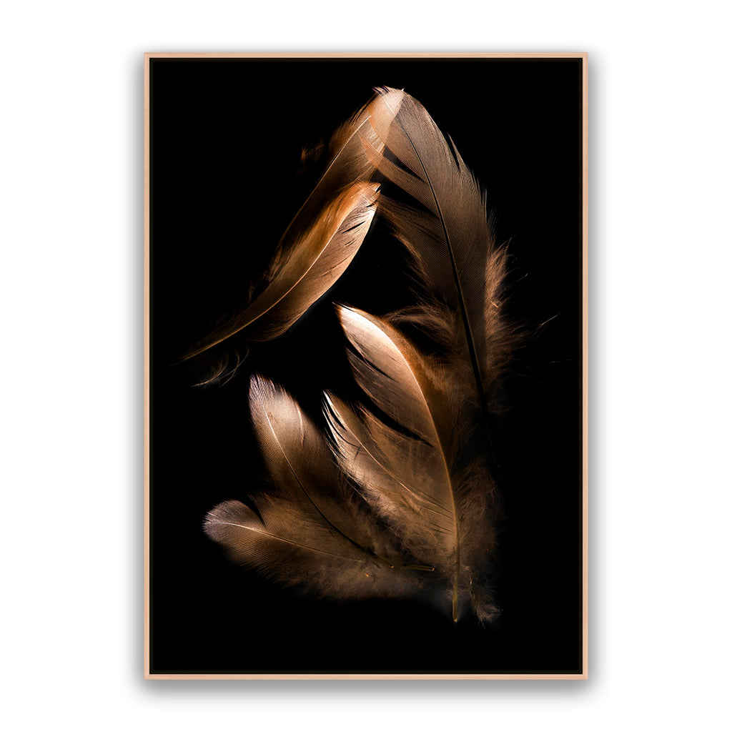 Bronze Feather