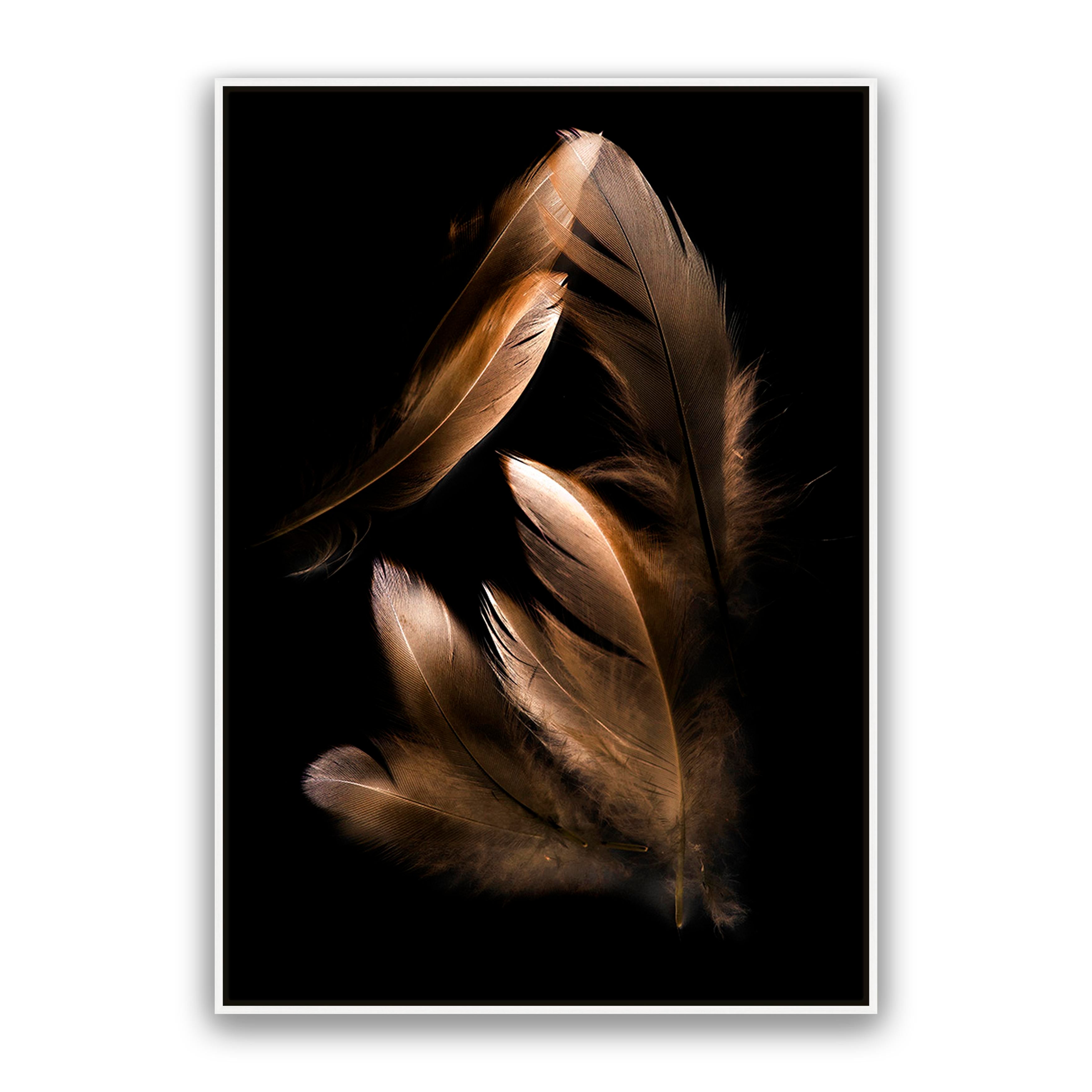 Bronze Feather