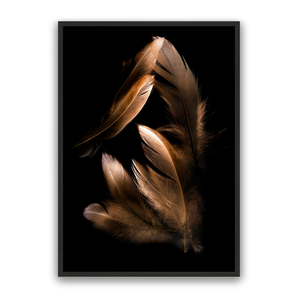 Bronze Feather