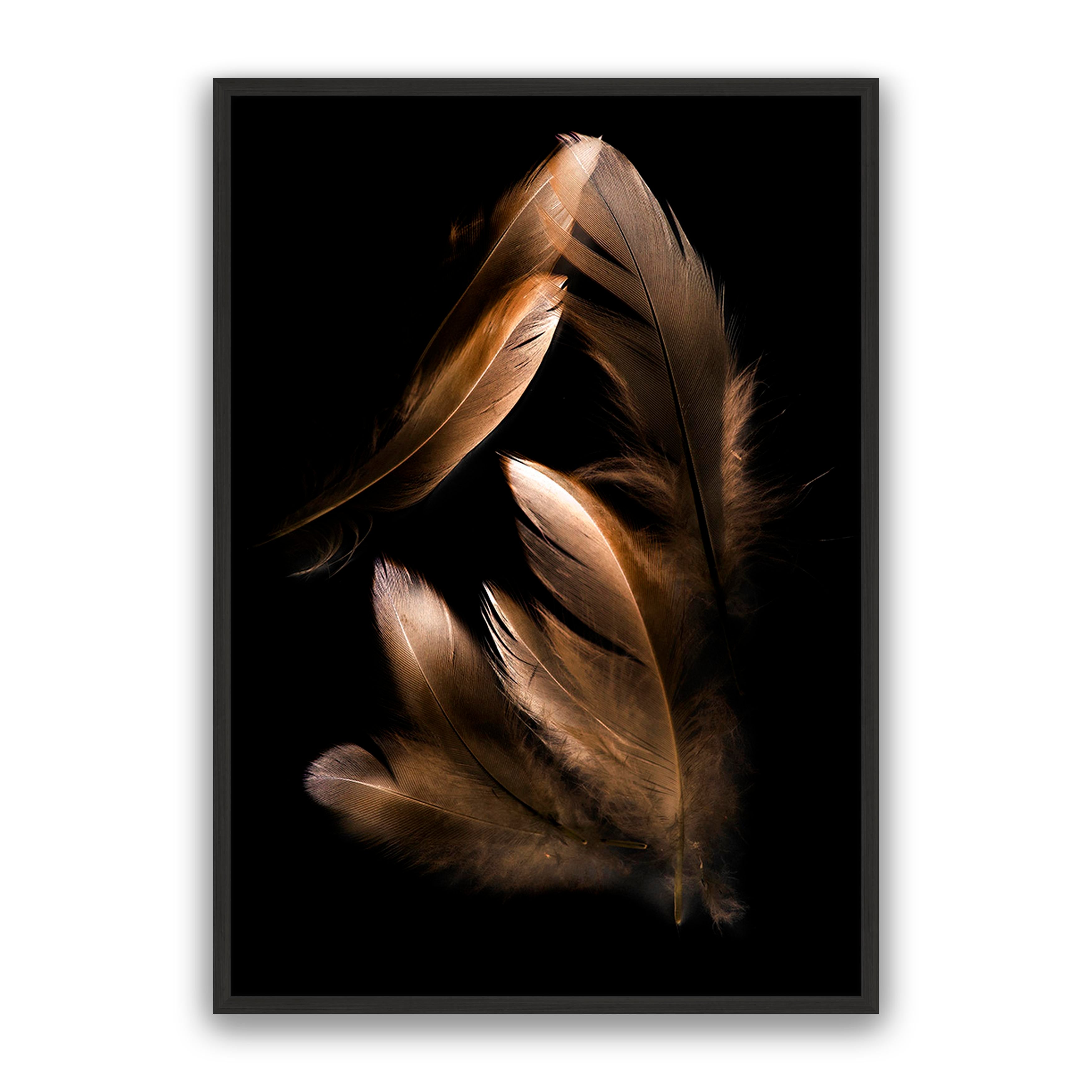 Bronze Feather