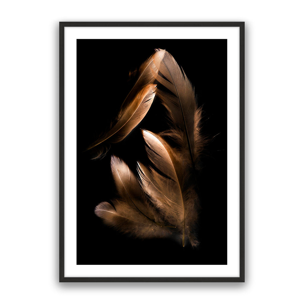 Bronze Feather
